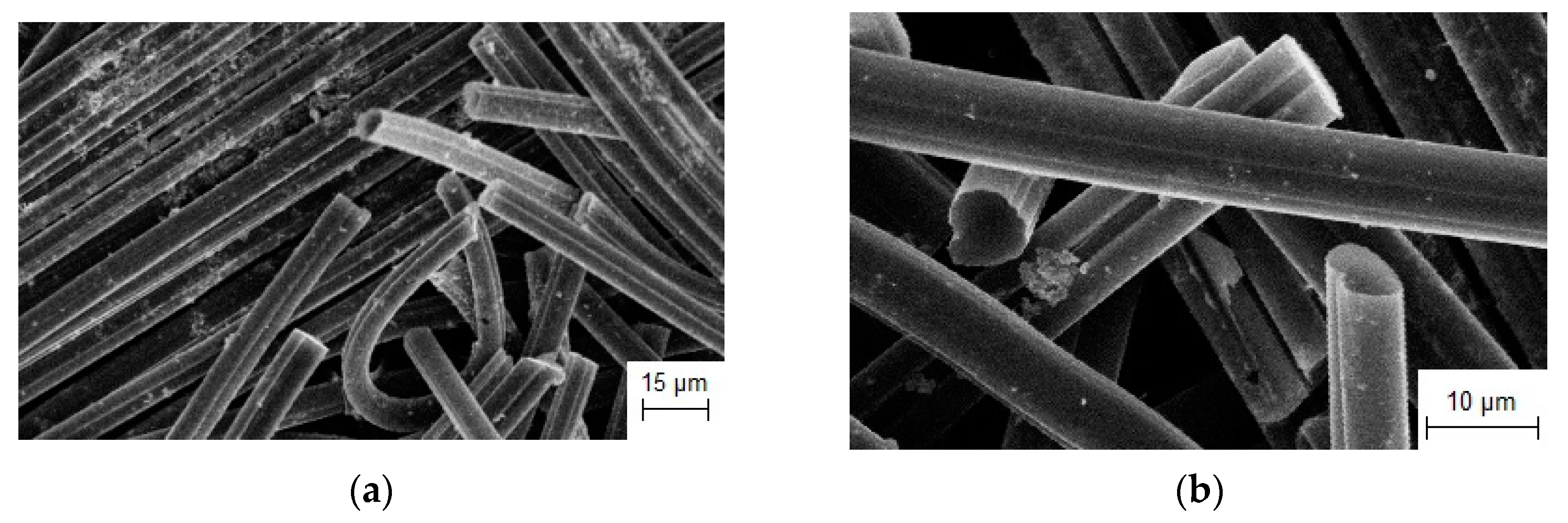 Coatings 13 00352 g011