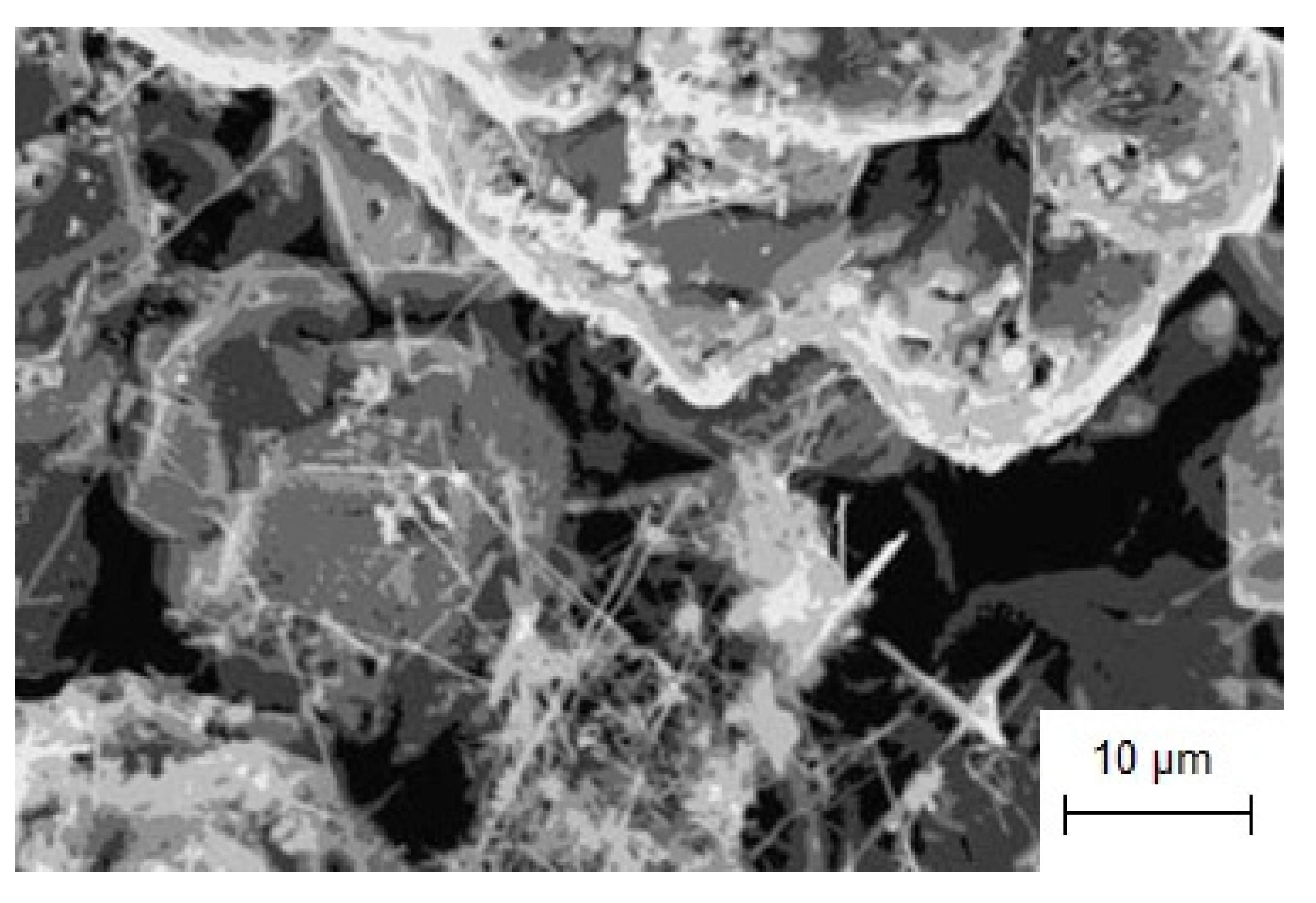 Coatings 13 00352 g018