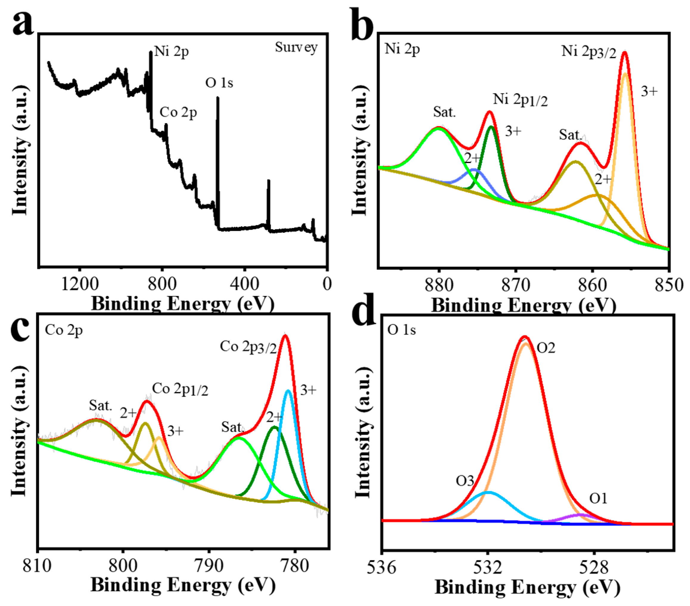 Coatings 13 00353 g003