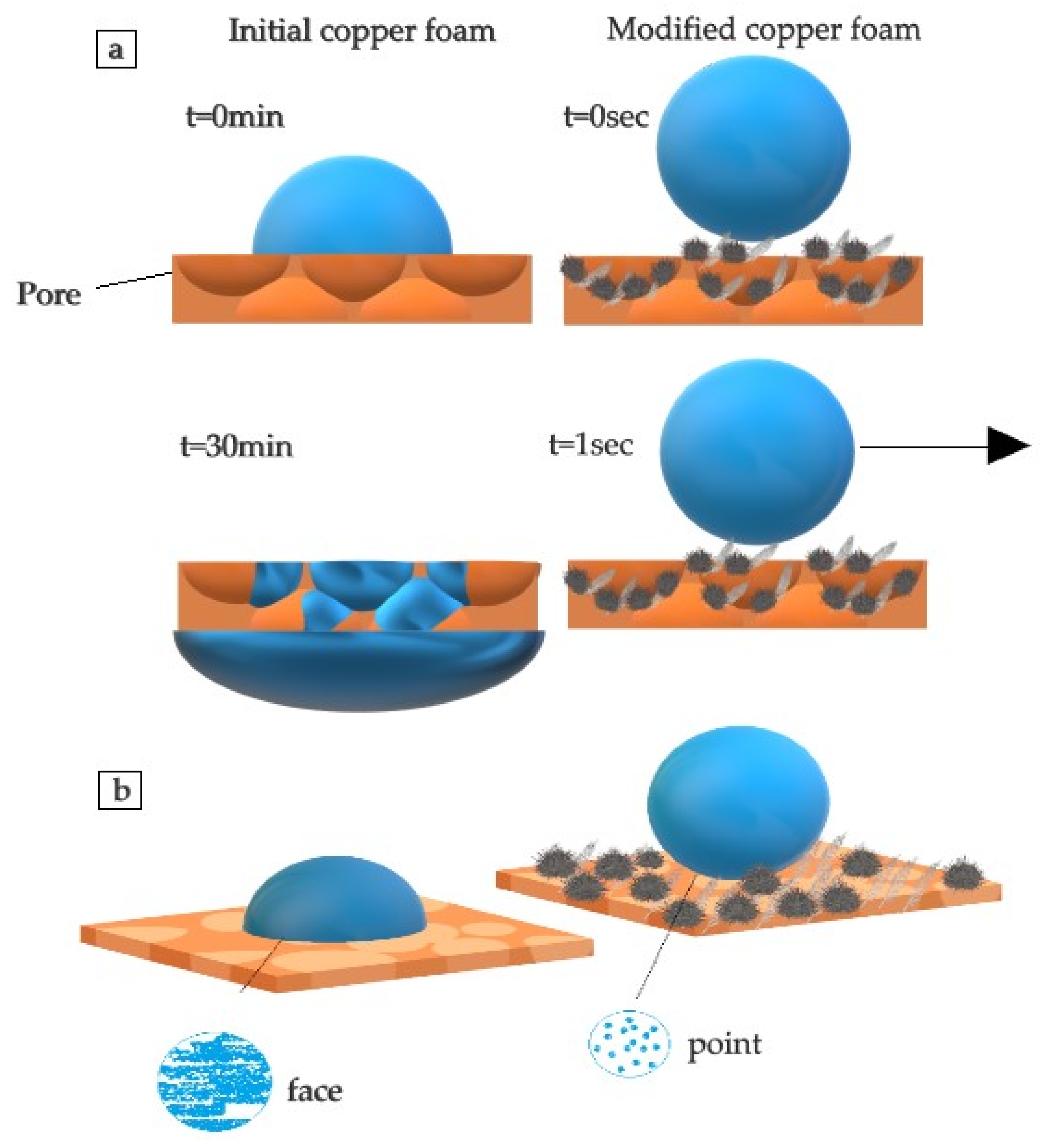 Coatings 13 00355 g010