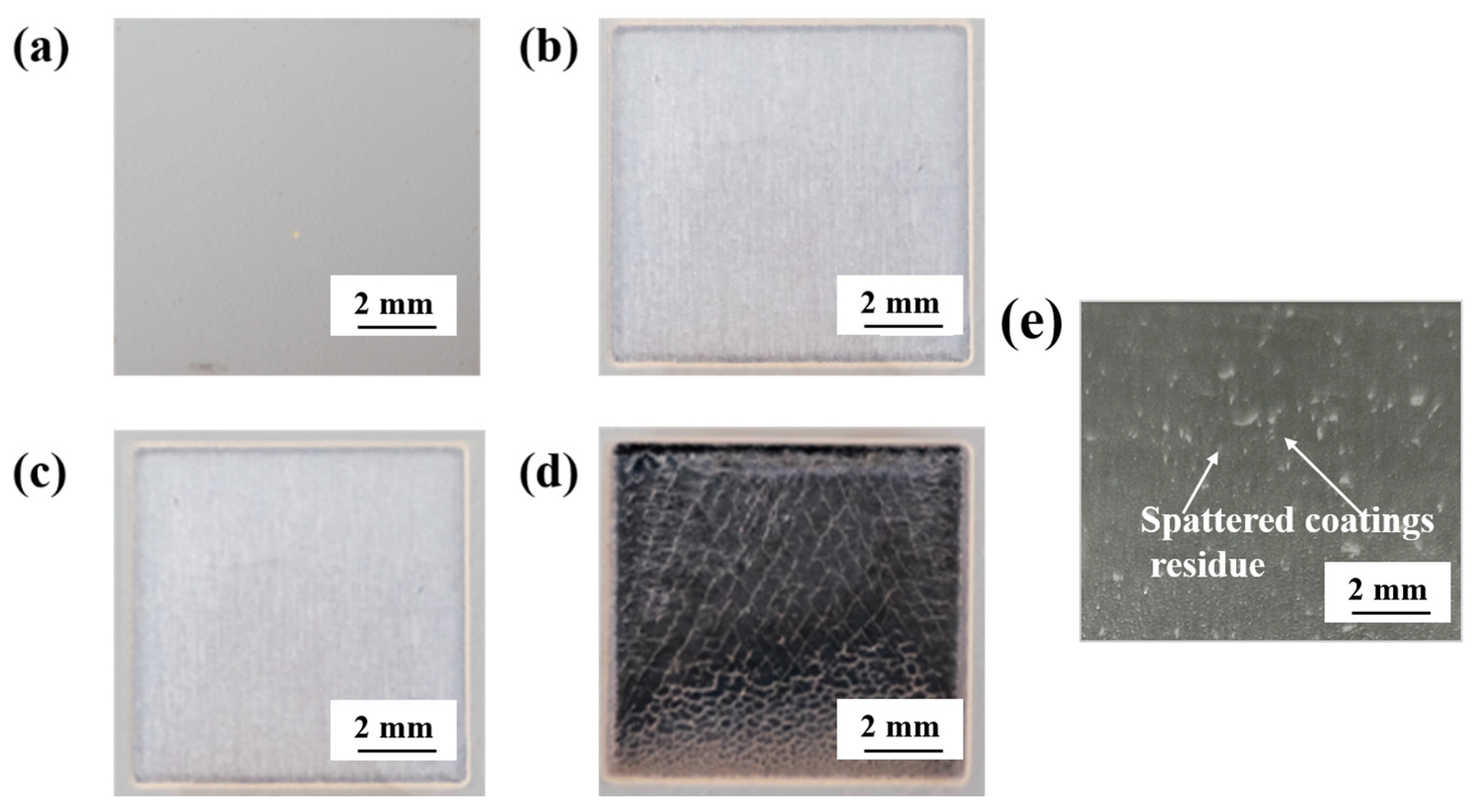 Coatings 13 00359 g007