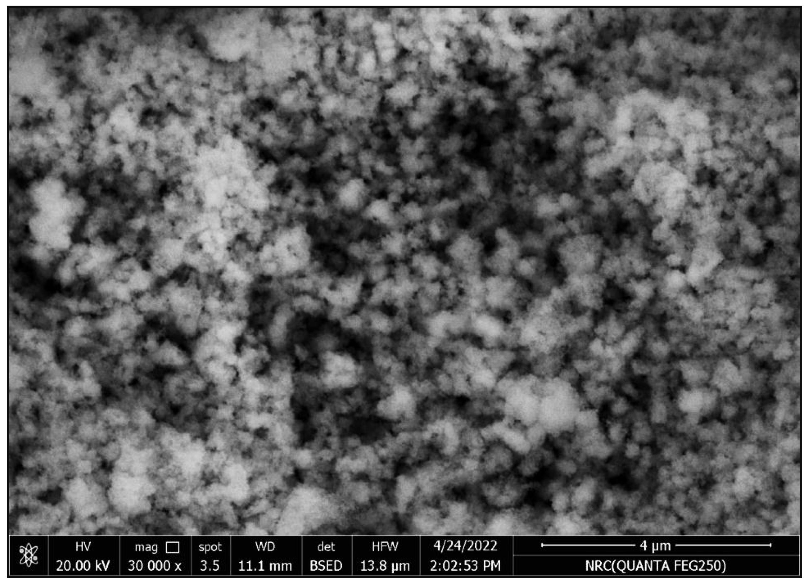 Coatings 13 00362 g003