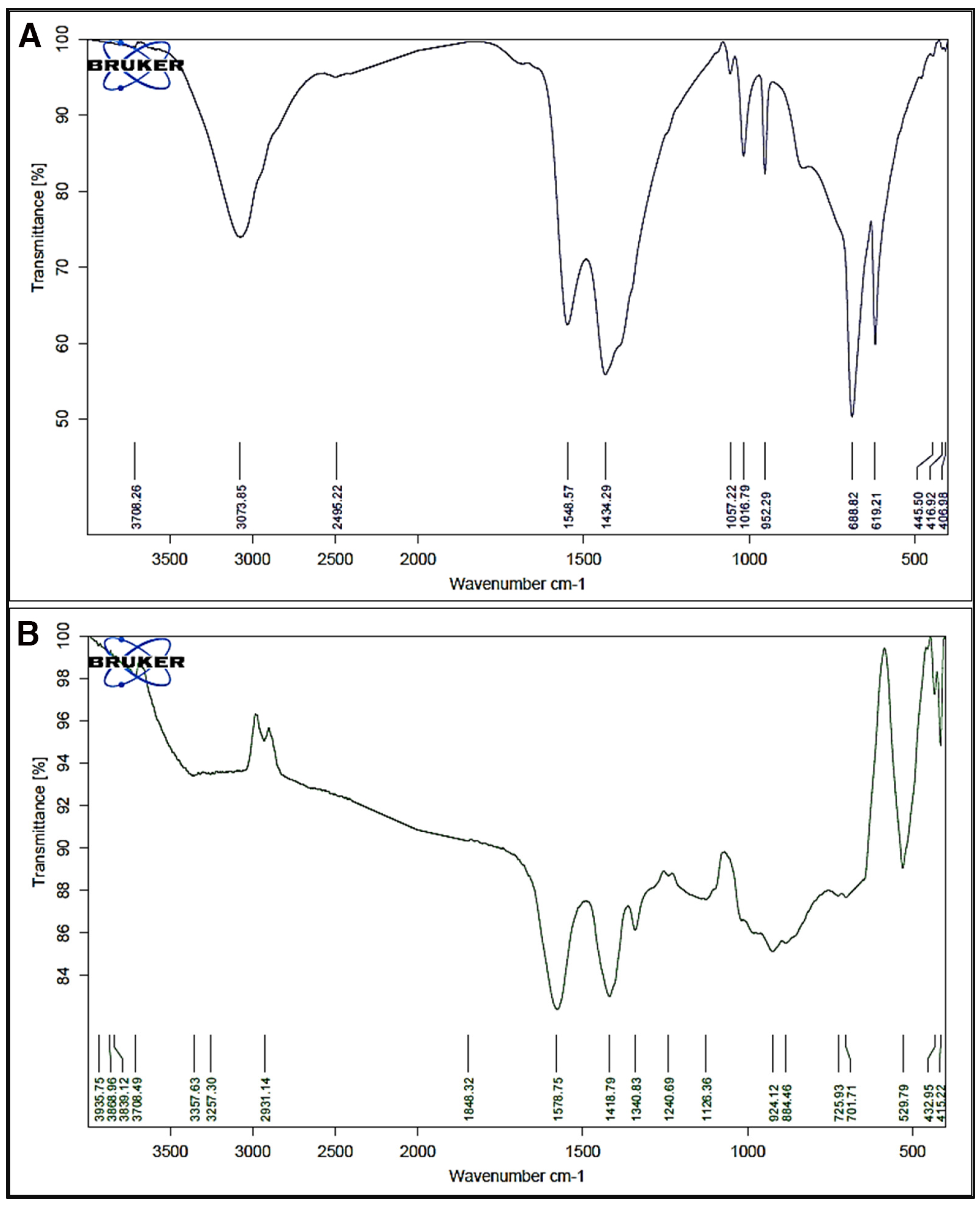 Coatings 13 00362 g005