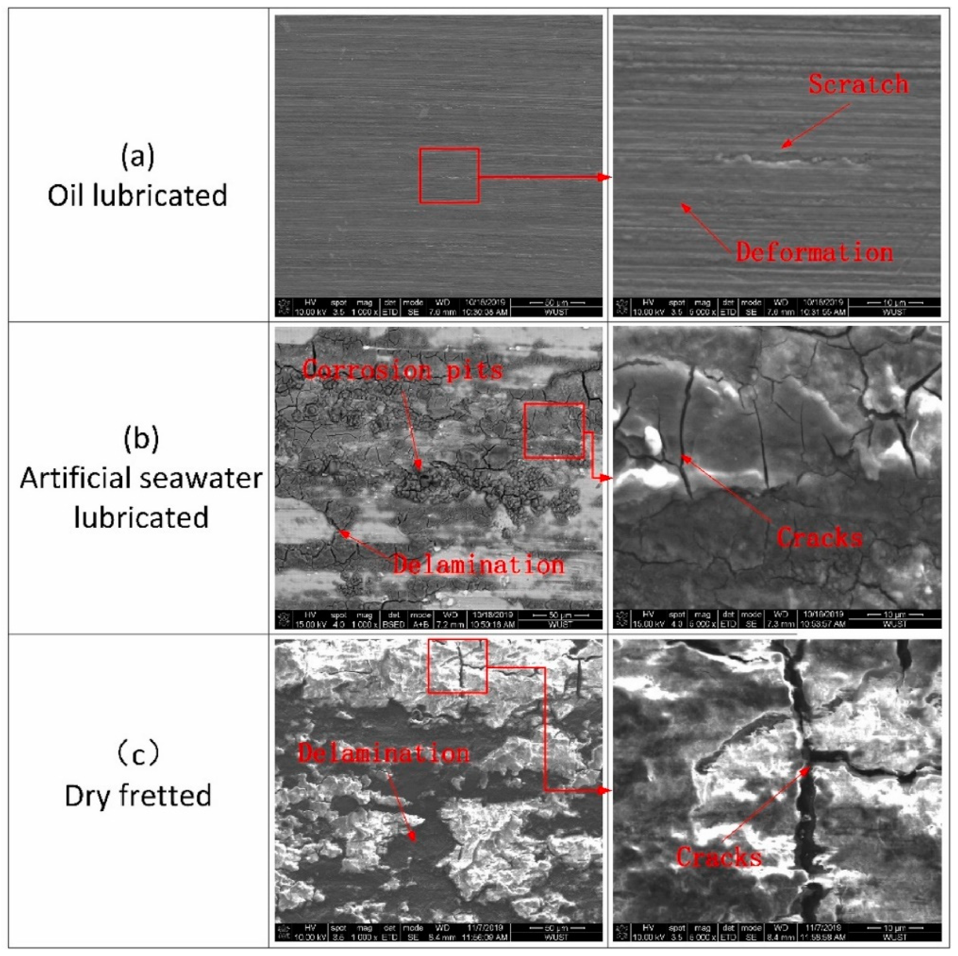 Coatings 13 00365 g003