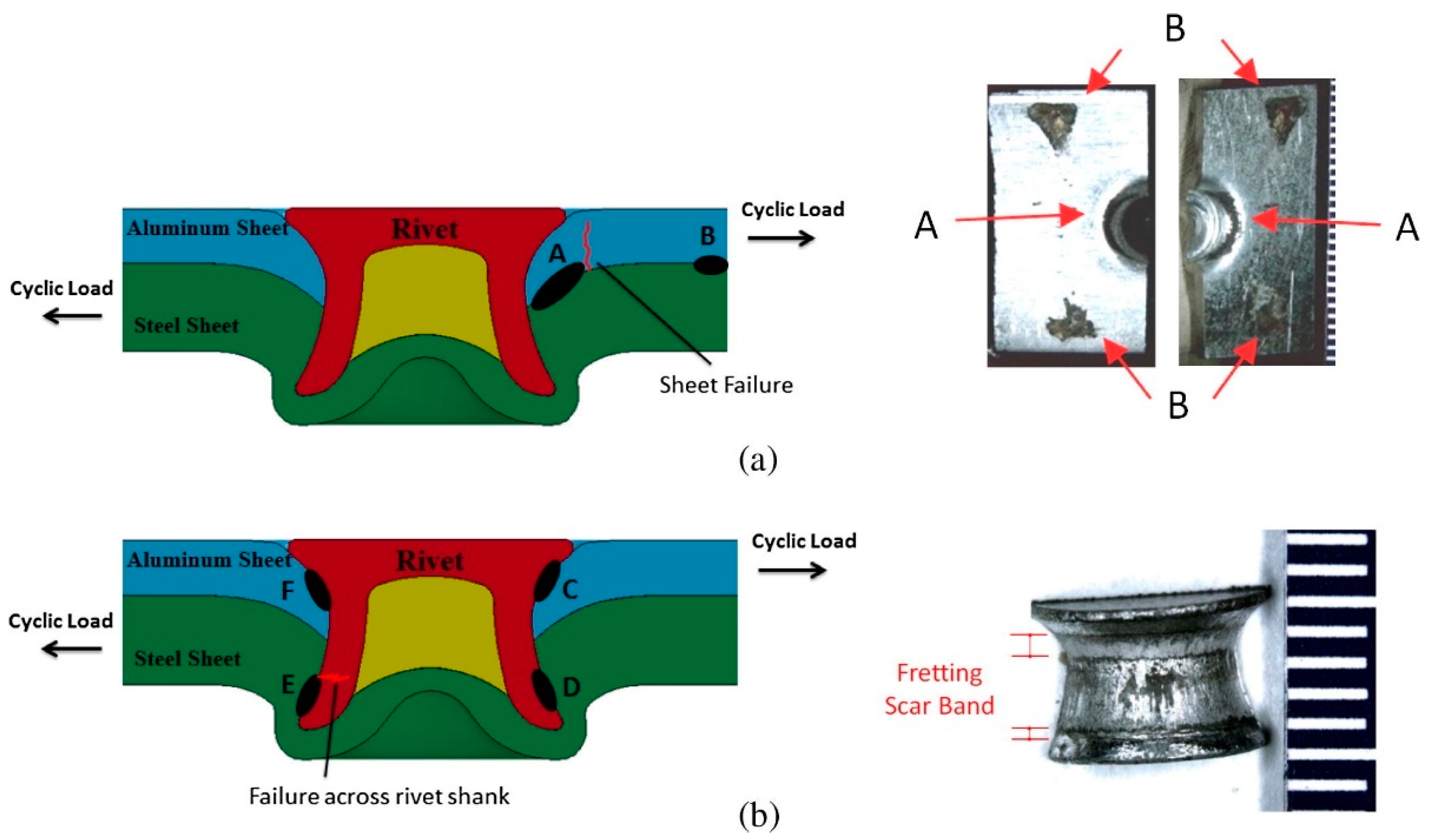 Coatings 13 00365 g014