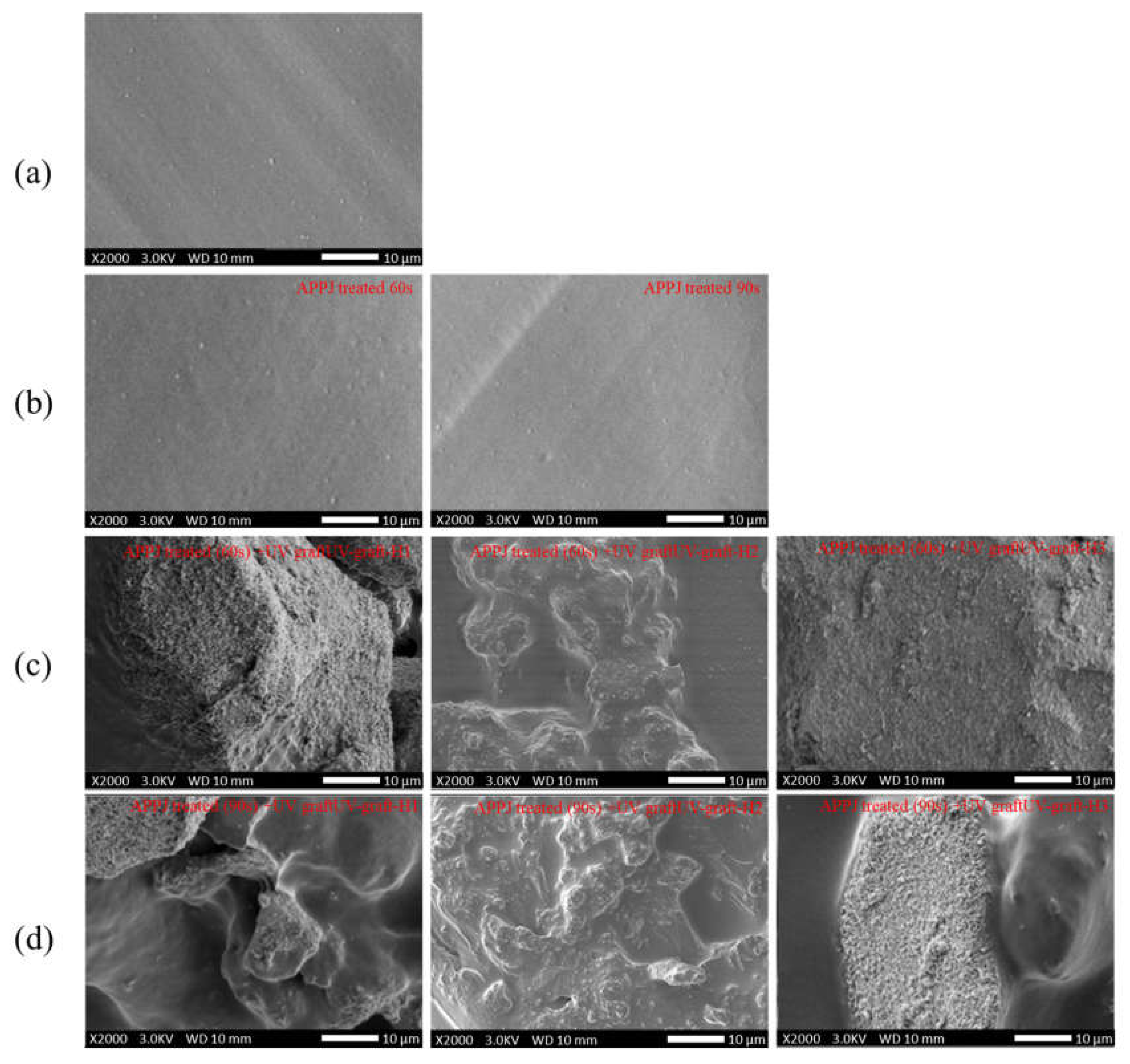 Coatings 13 00367 g003