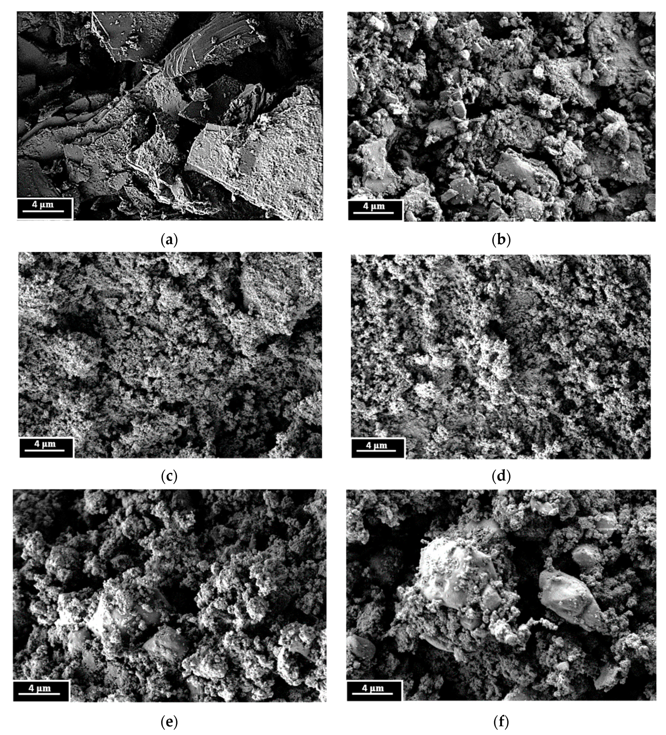 Coatings 13 00374 g002 Coatings 13 00374 g002