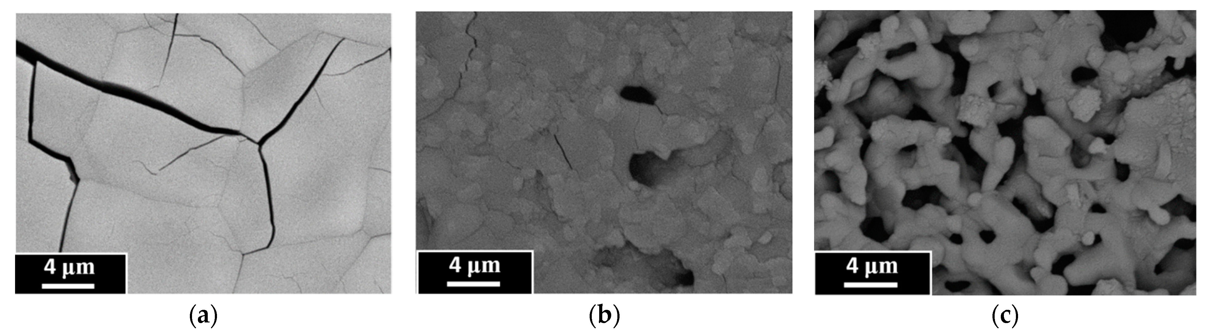 Coatings 13 00374 g005 Coatings 13 00374 g005
