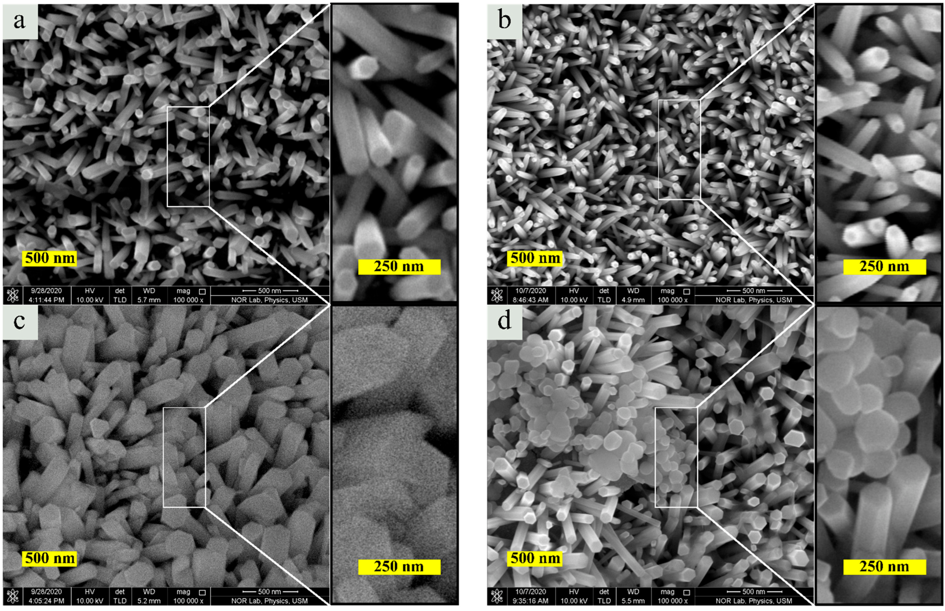 Coatings 13 00379 g002