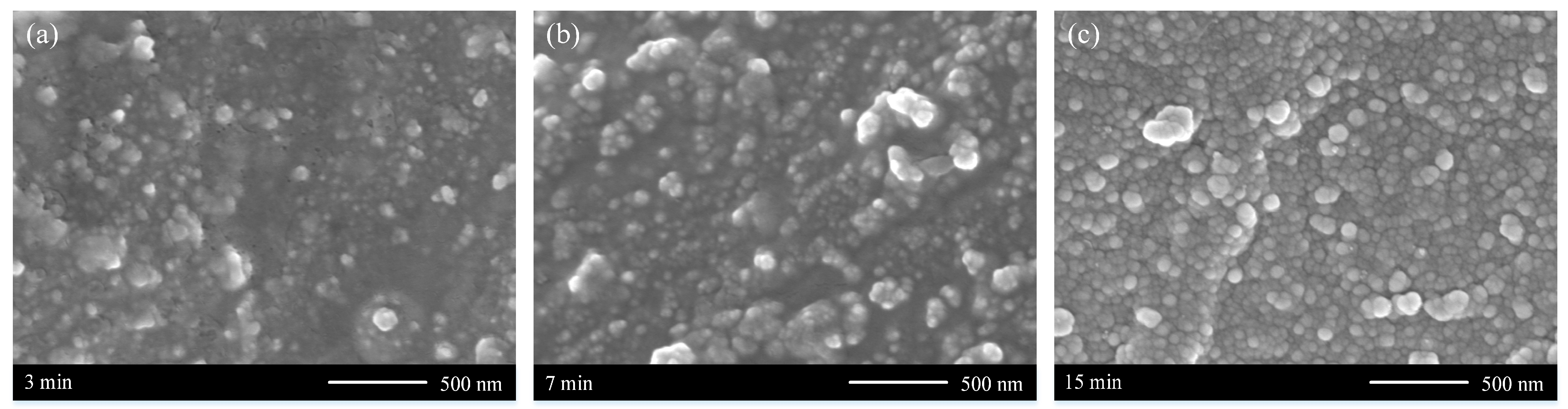 Coatings 13 00388 g005