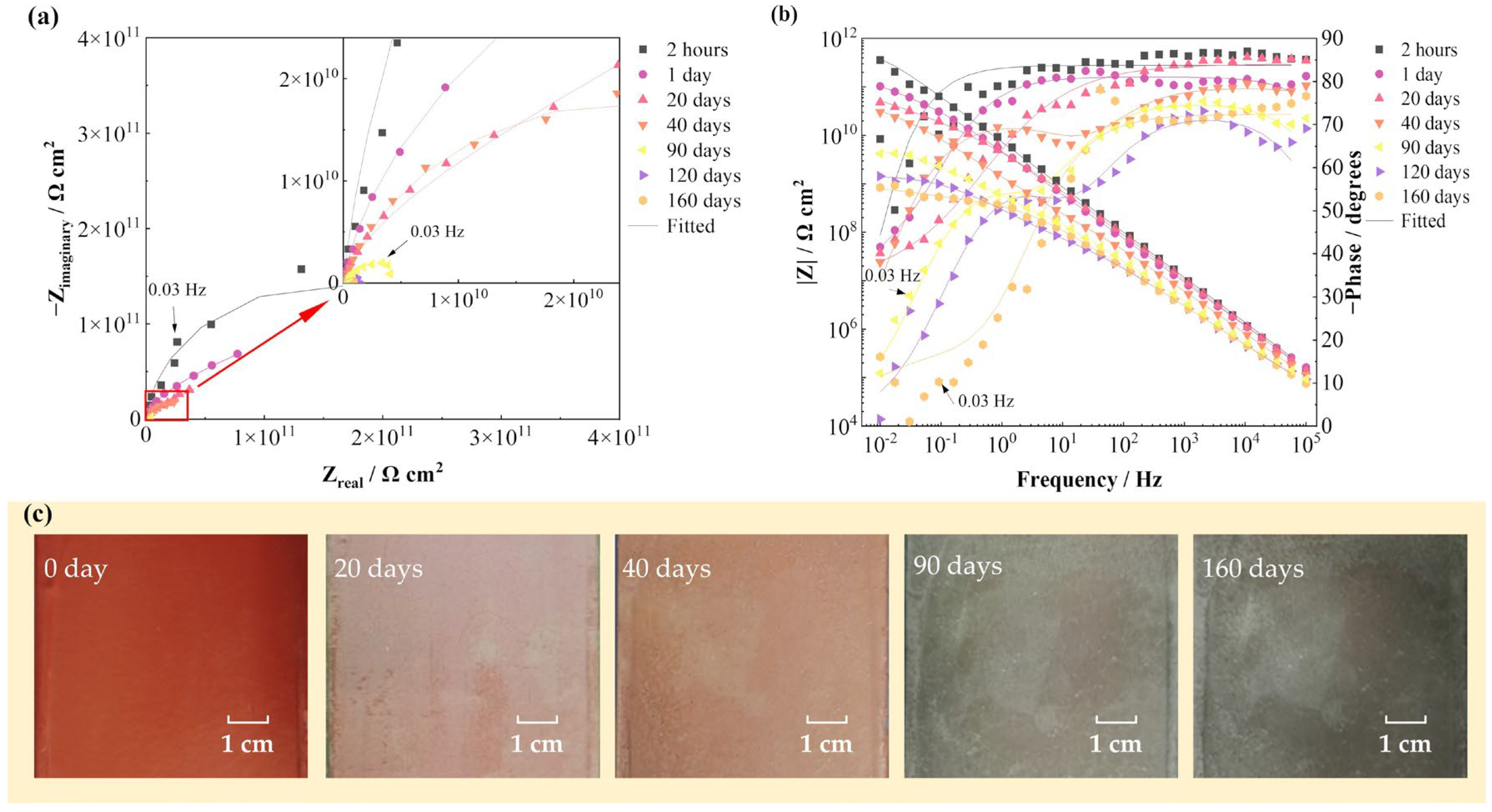 Coatings 13 00389 g003