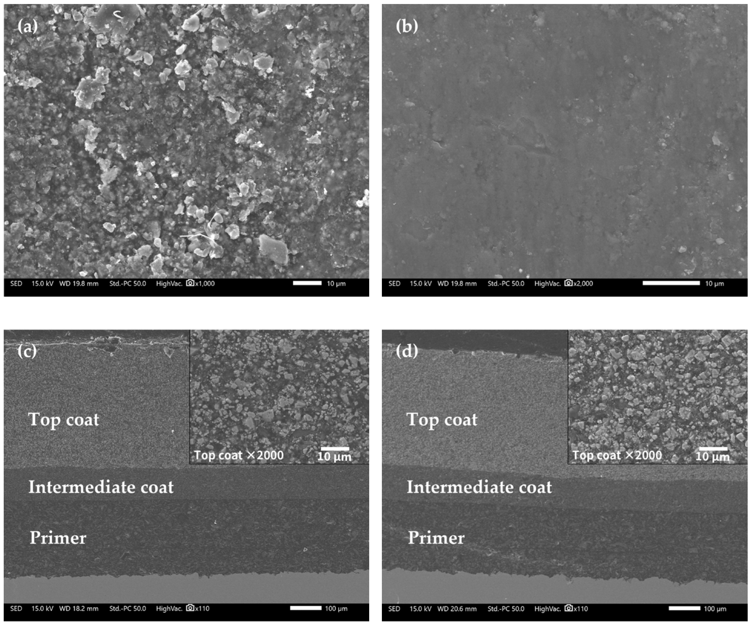 Coatings 13 00389 g009