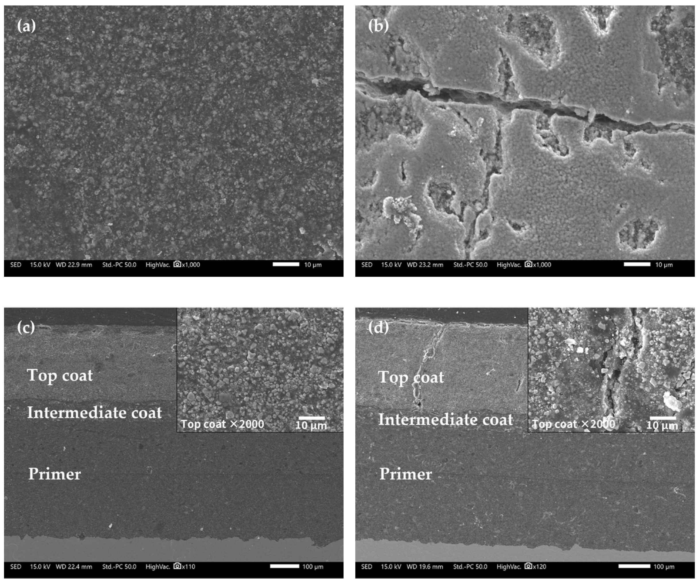 Coatings 13 00389 g010