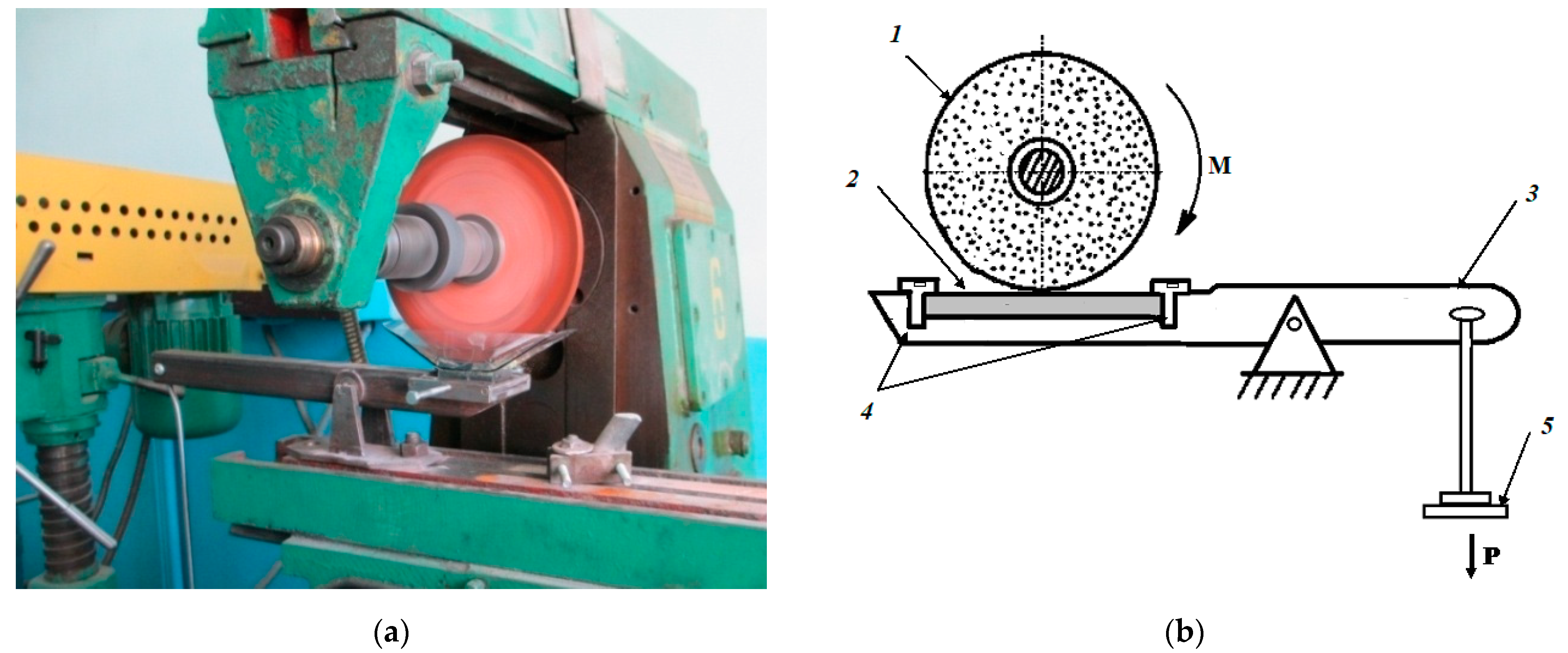 Coatings 13 00391 g002