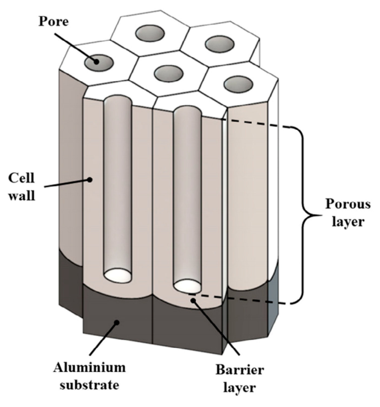 Coatings 13 00391 g005