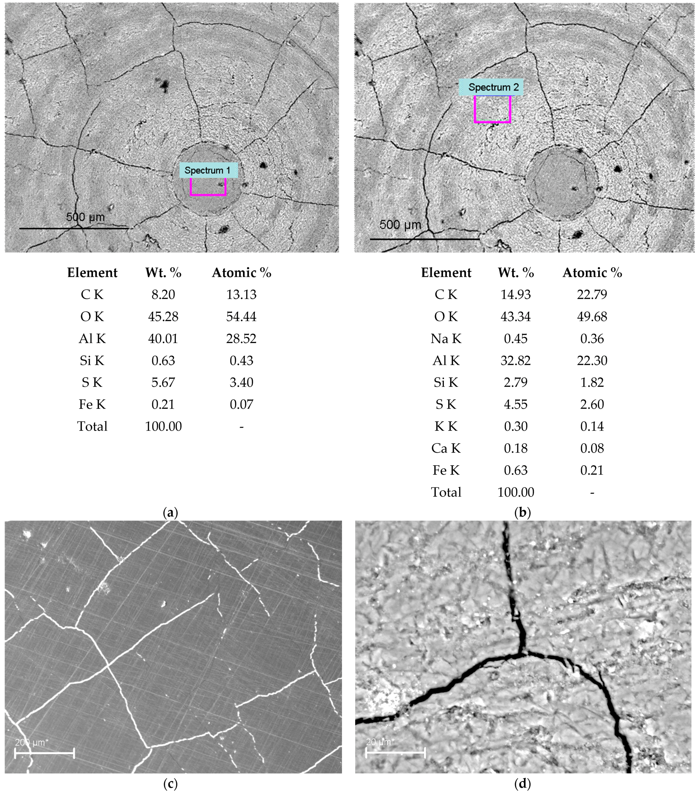 Coatings 13 00391 g012