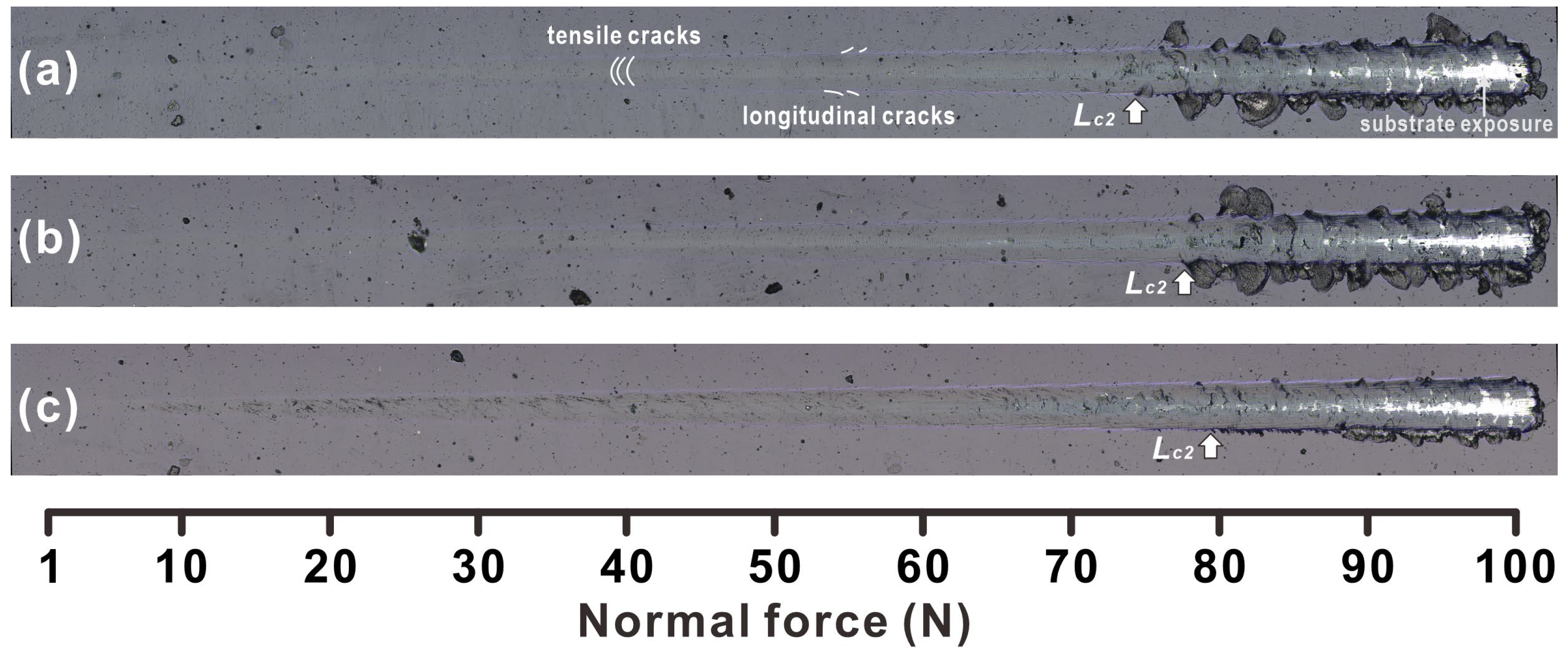 Coatings 13 00402 g004