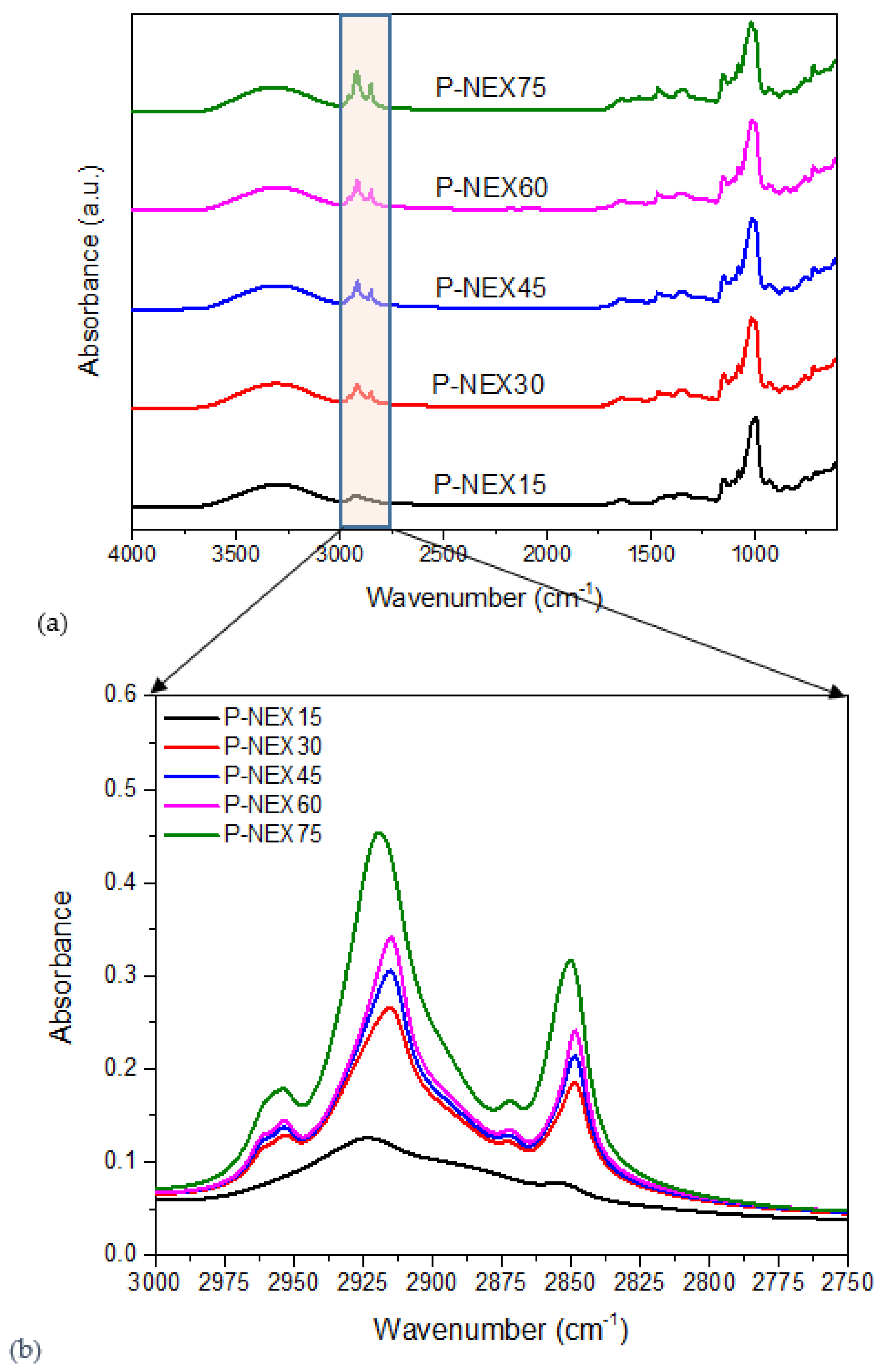 Coatings 13 00414 g005