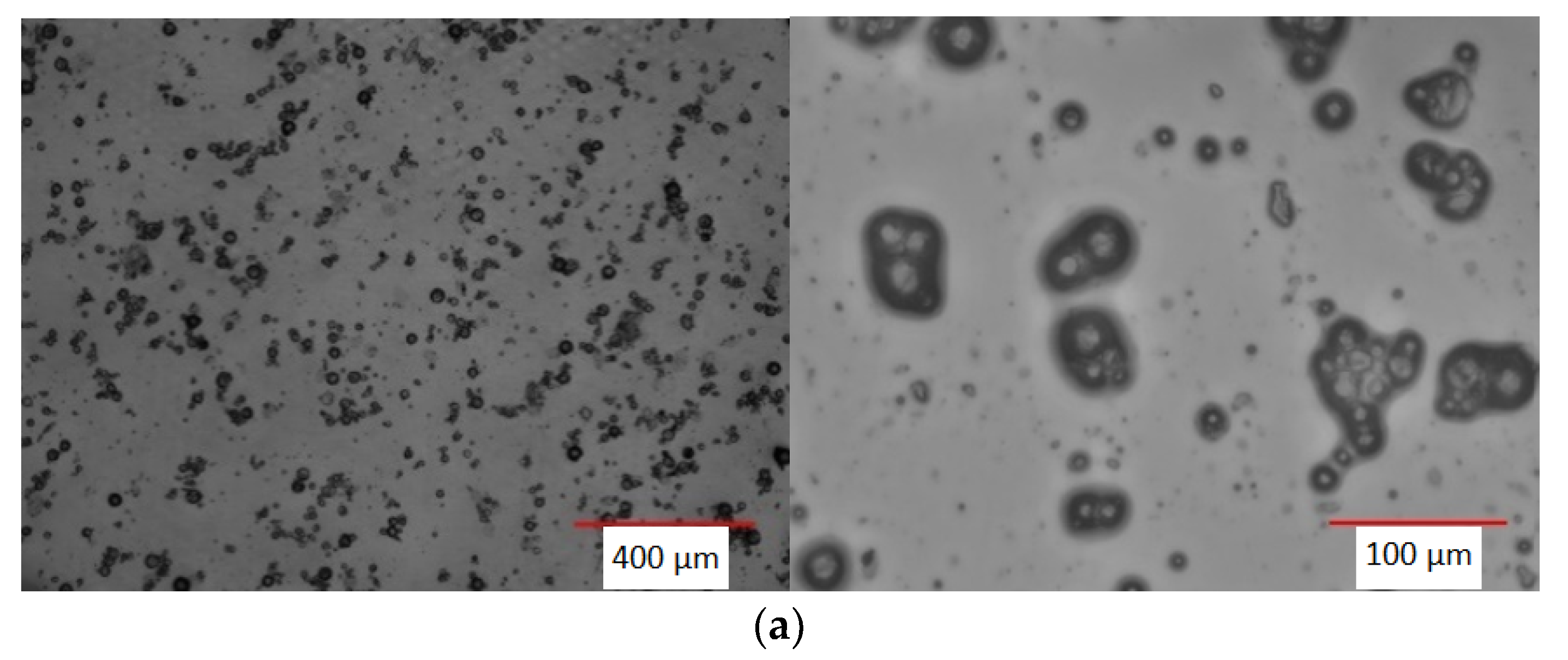 Coatings 13 00414 g009a