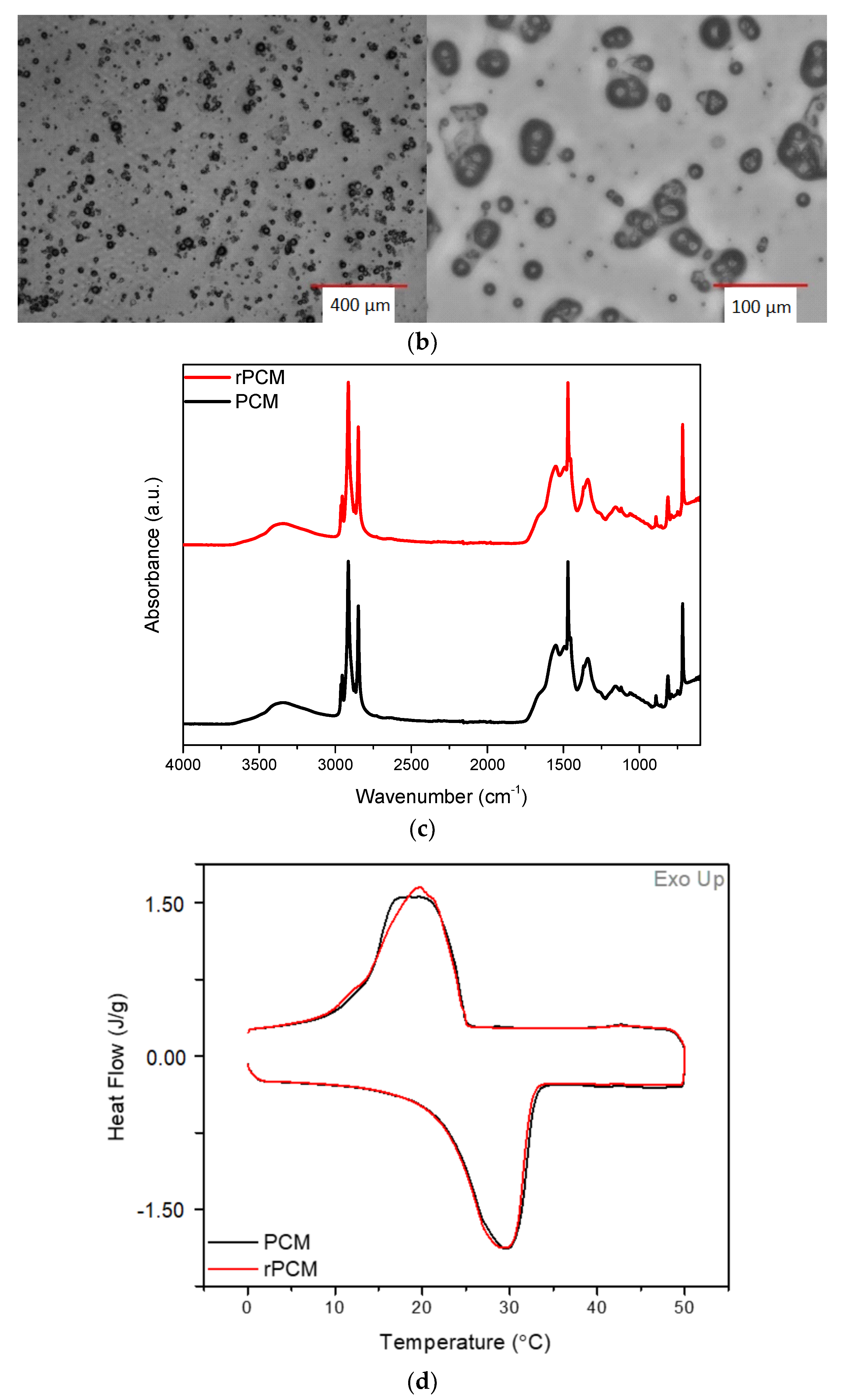 Coatings 13 00414 g009b