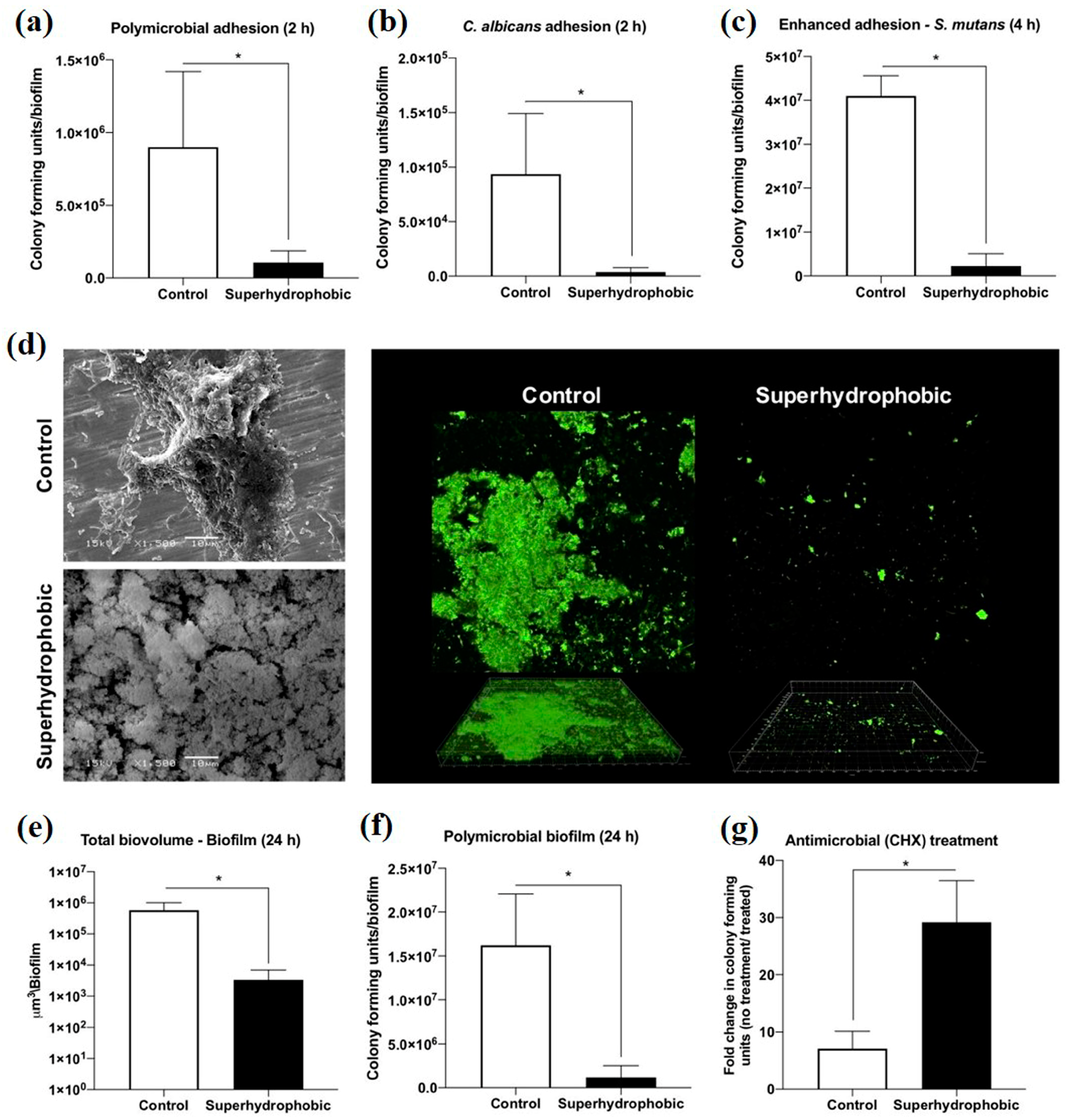 Coatings 13 00419 g009