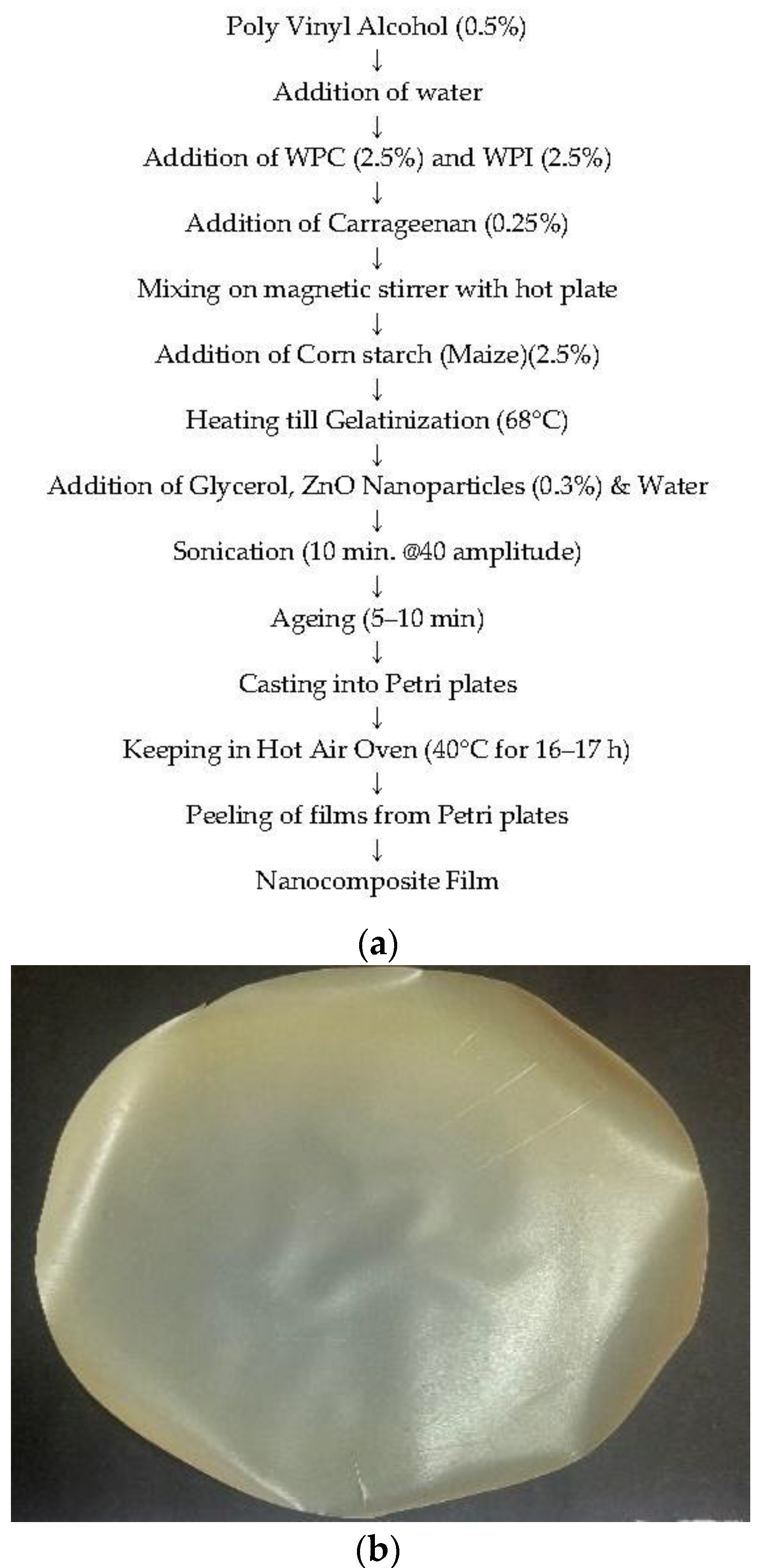 Coatings 13 00420 g001