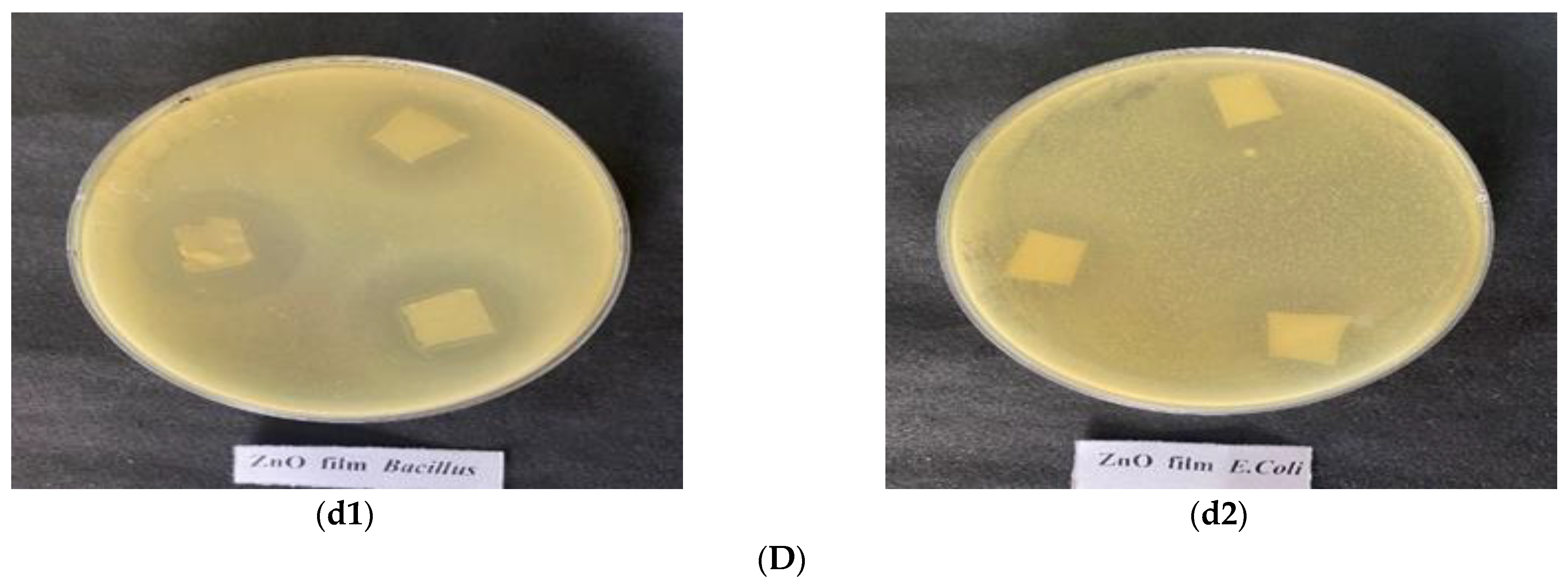 Coatings 13 00420 g007b