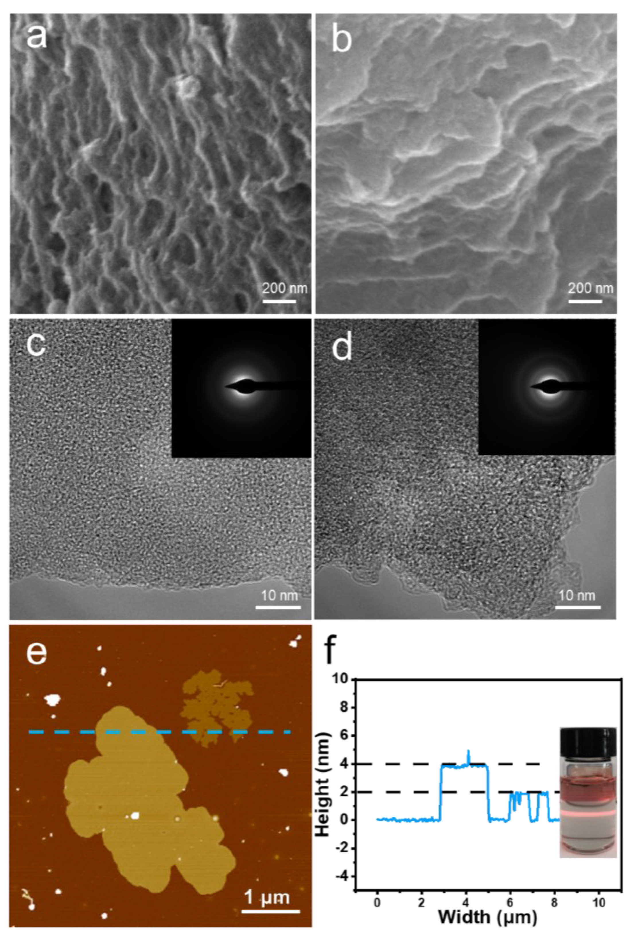 Coatings 13 00421 g002