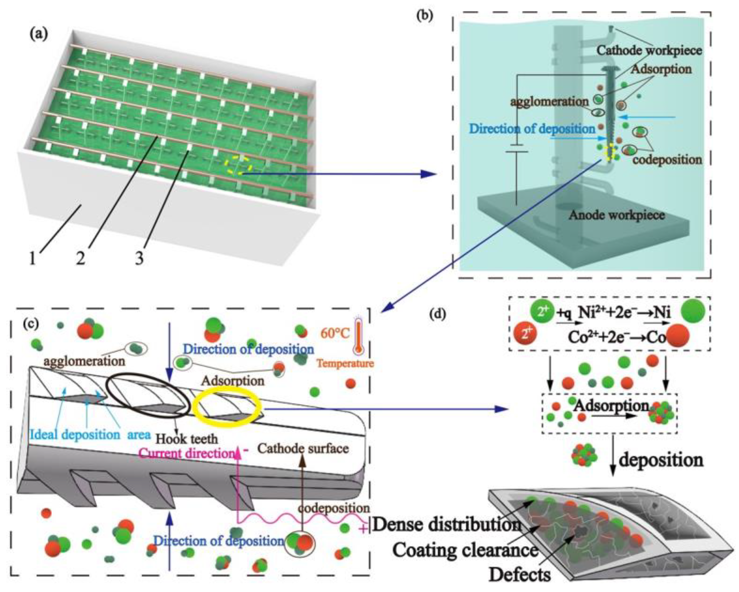 Coatings 13 00422 g001