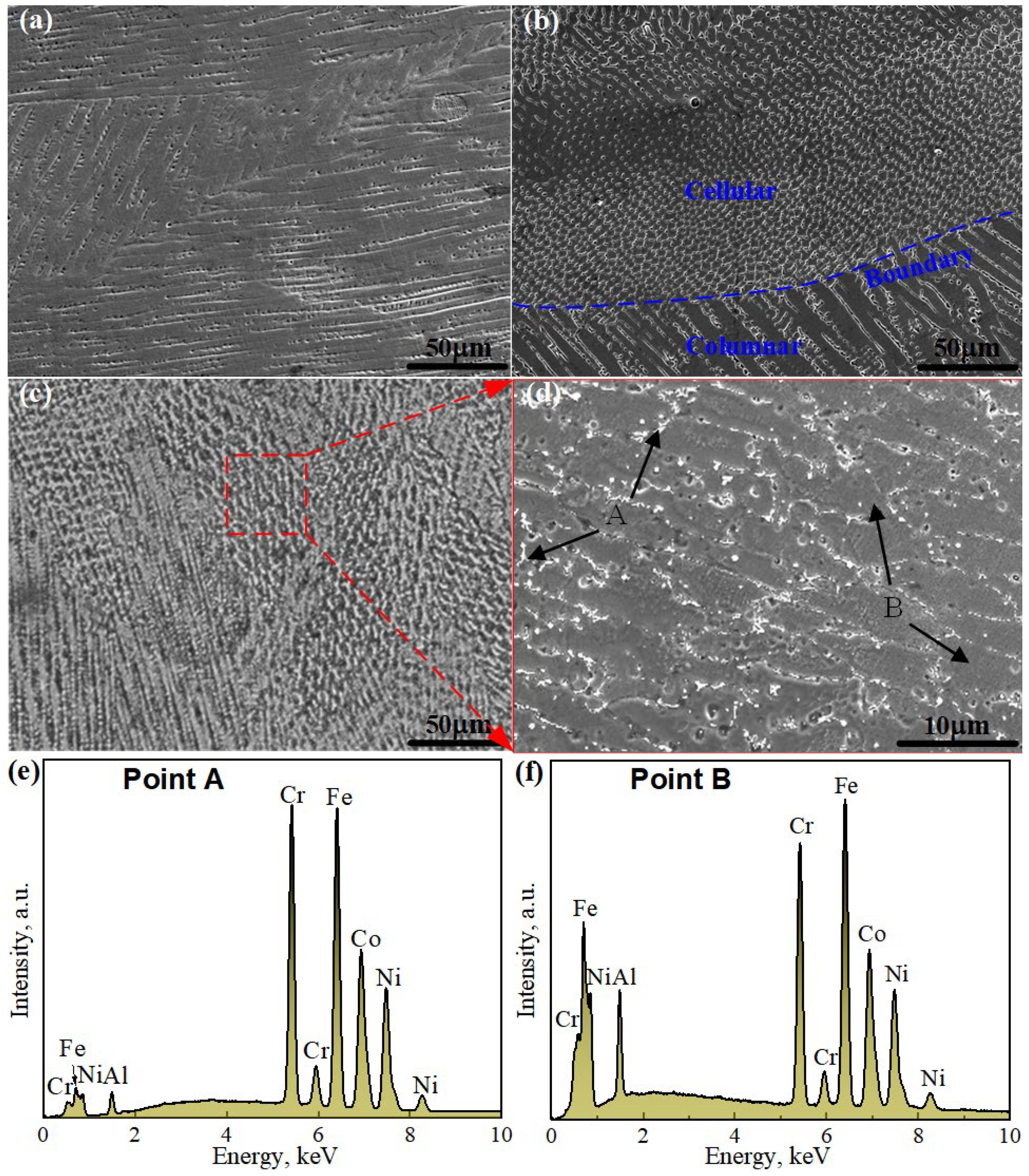 Coatings 13 00426 g005
