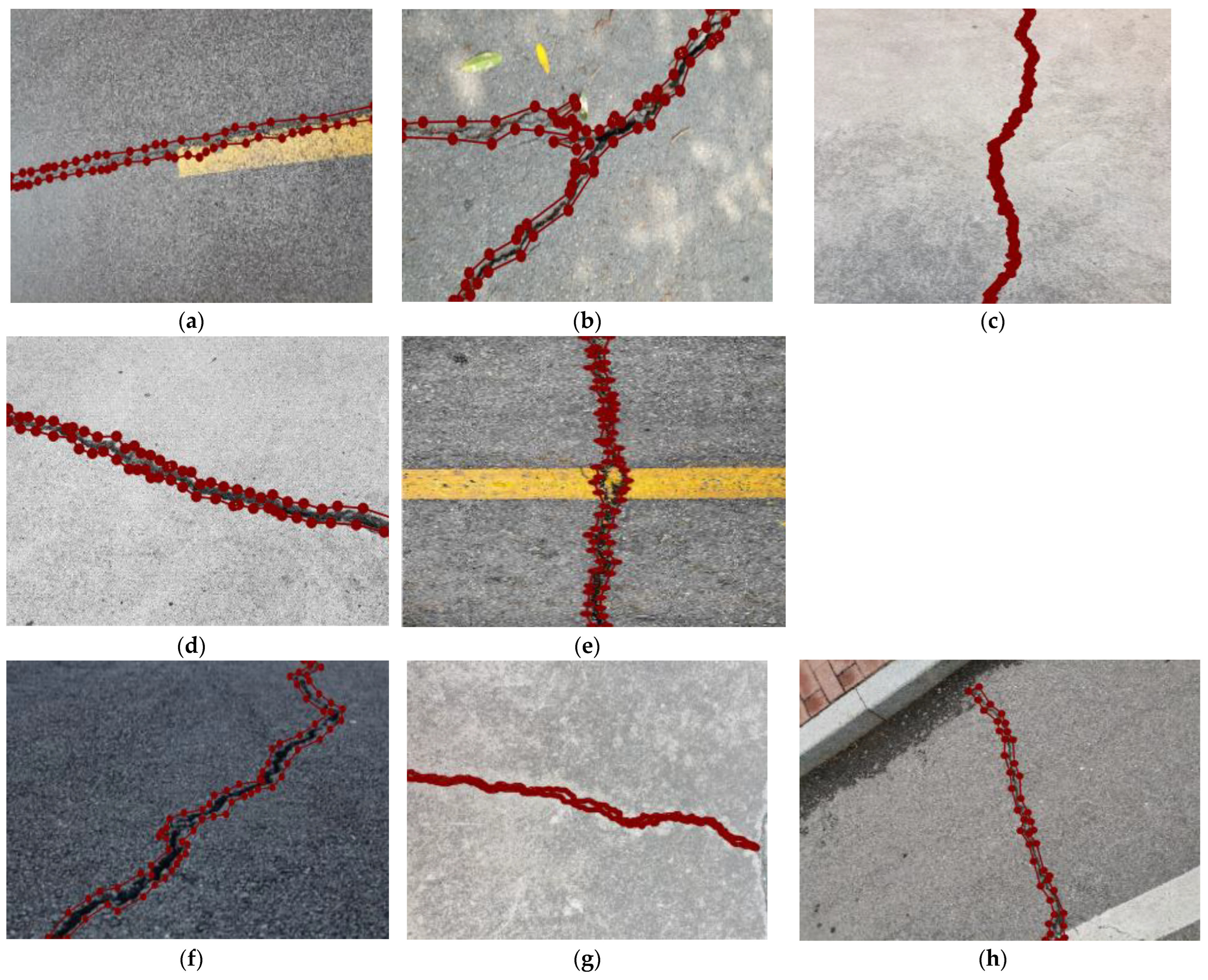 Coatings 13 00430 g003