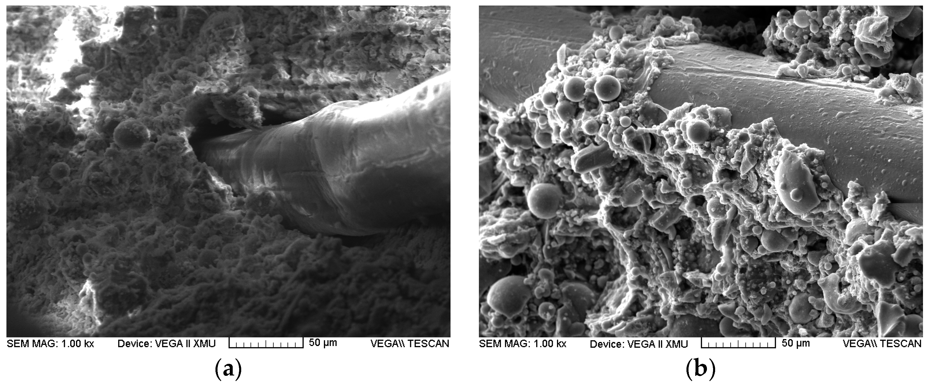 Coatings 13 00452 g006