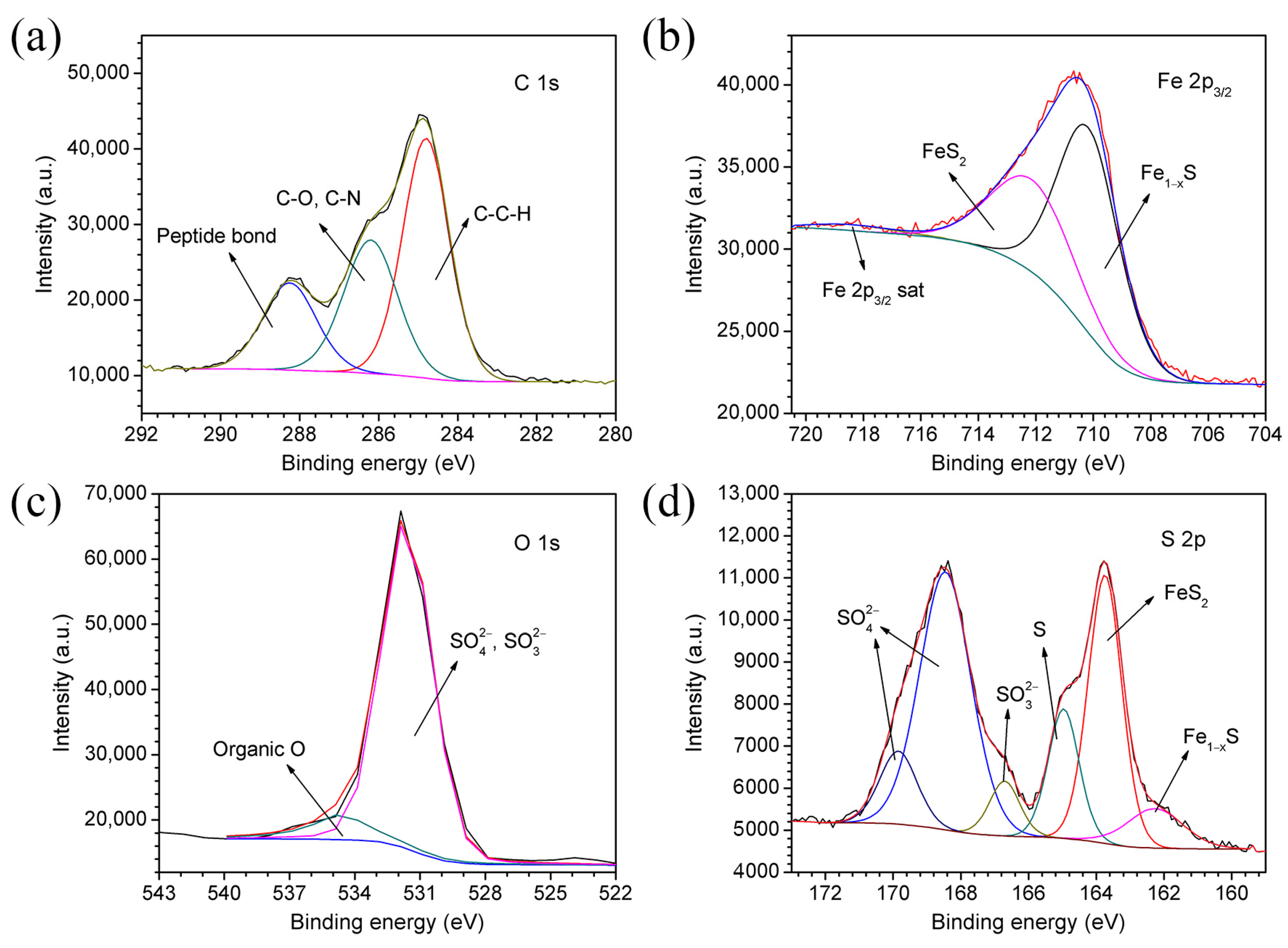Coatings 13 00478 g003
