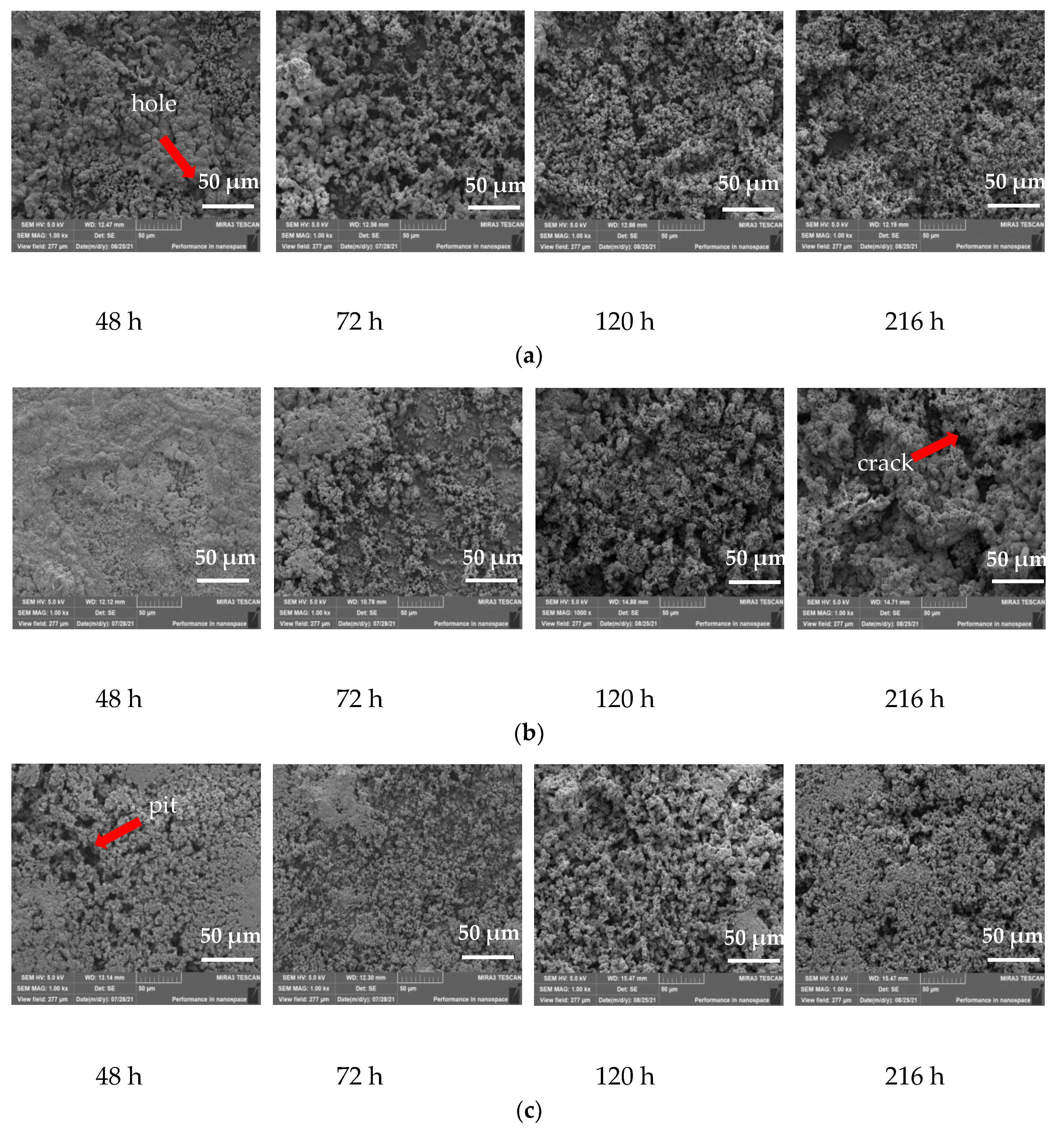 Coatings 13 00480 g002
