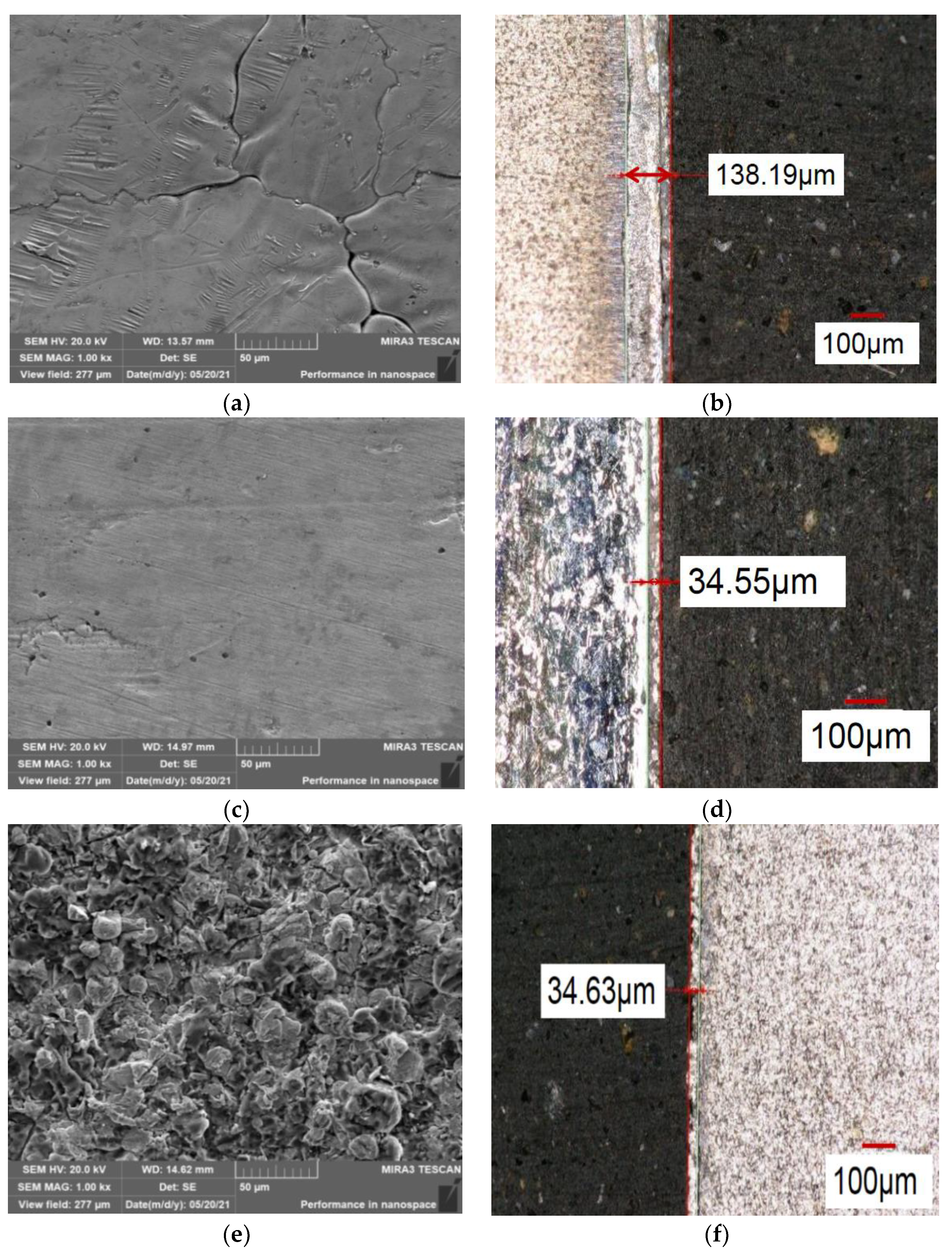 Coatings 13 00480 g003