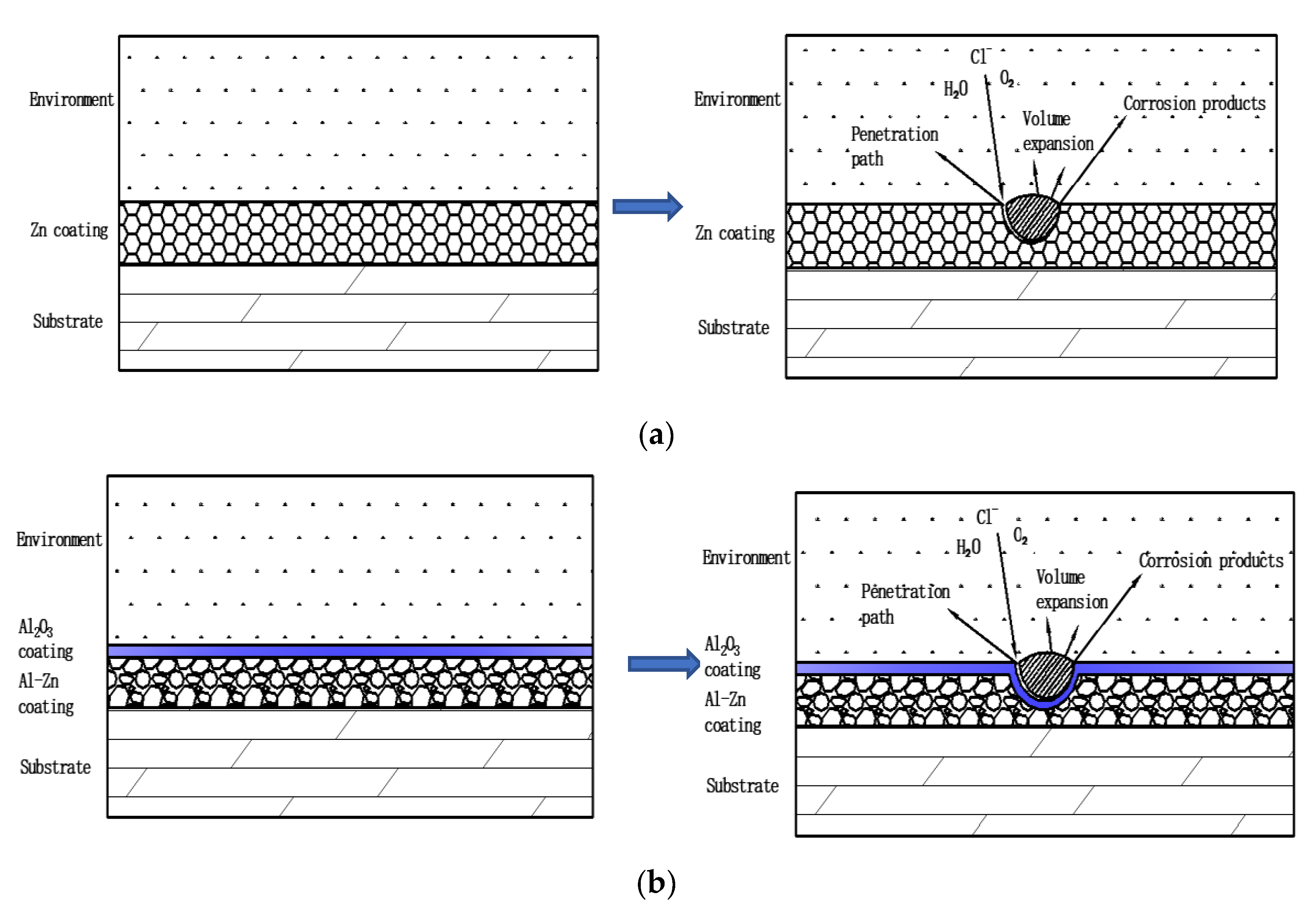 Coatings 13 00480 g006