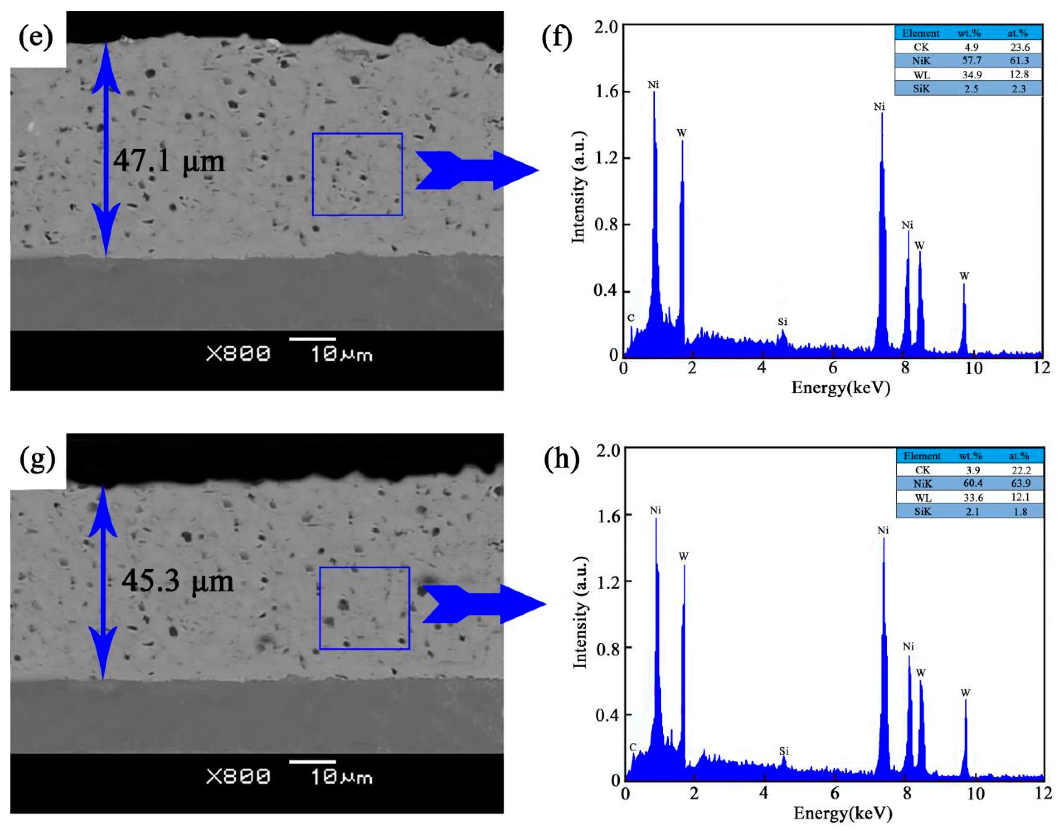 Coatings 13 00484 g002b