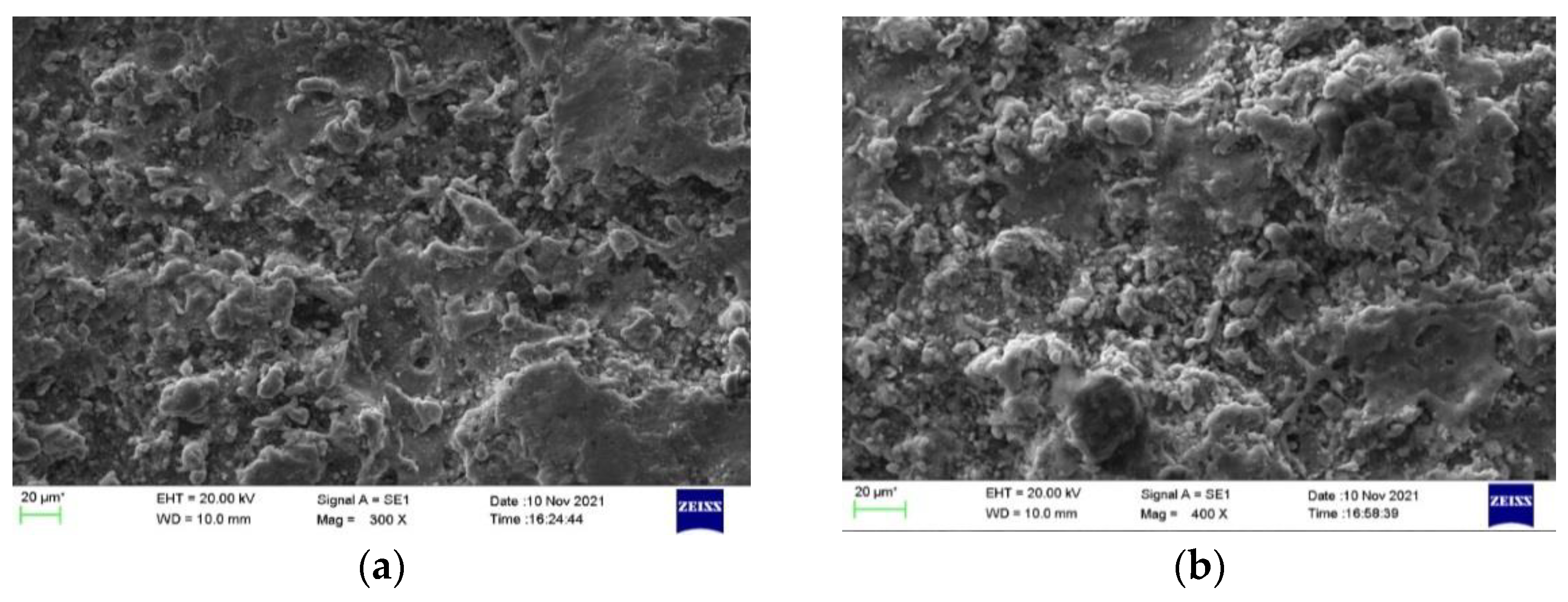 Coatings 13 00497 g006 Coatings 13 00497 g006