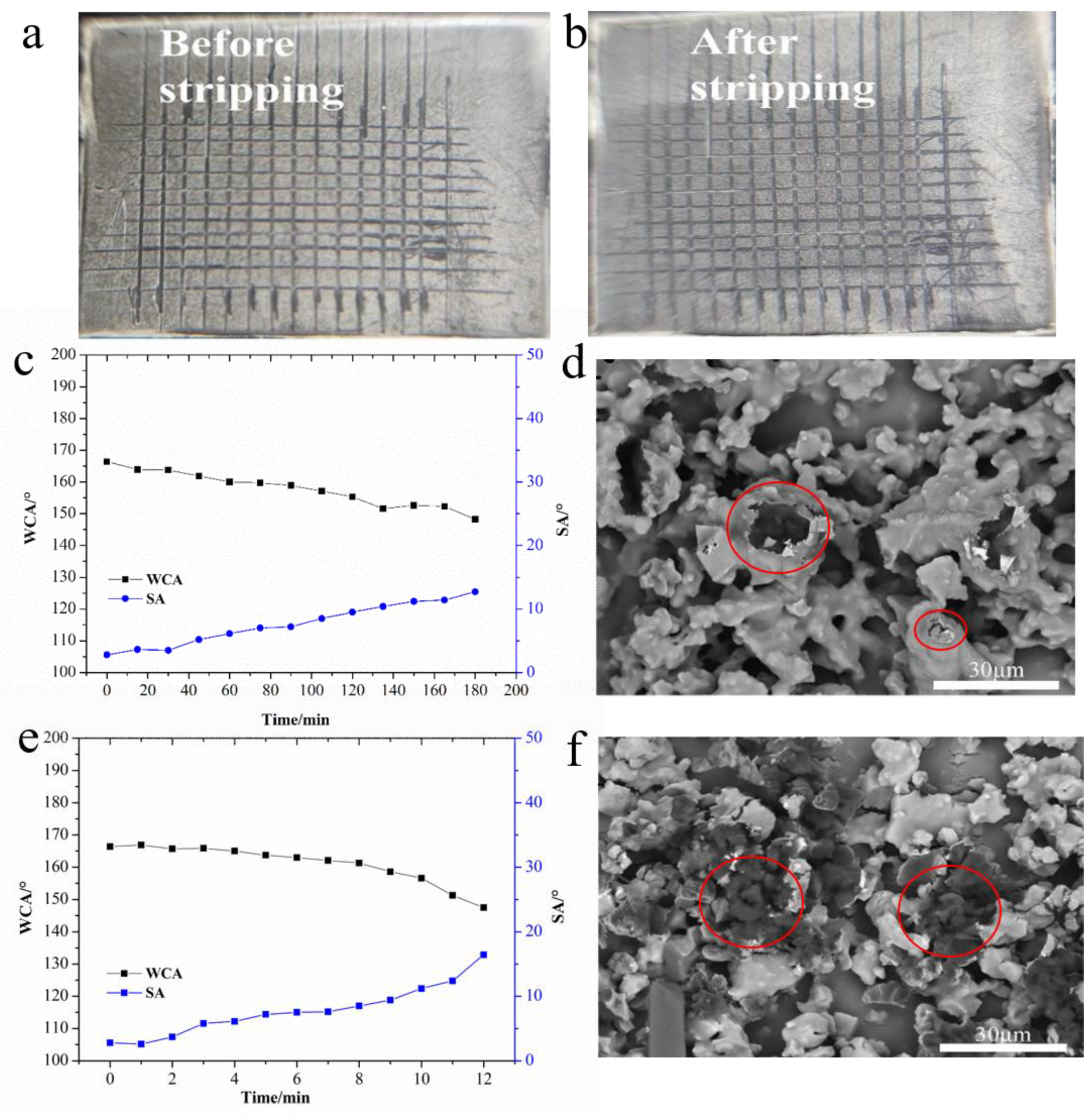 Eco-Friendly Fabrication of Transparent Superhydrophobic Coating with  Excellent Mechanical Robustness, Chemical Stability, and Long-Term Outdoor  Durability