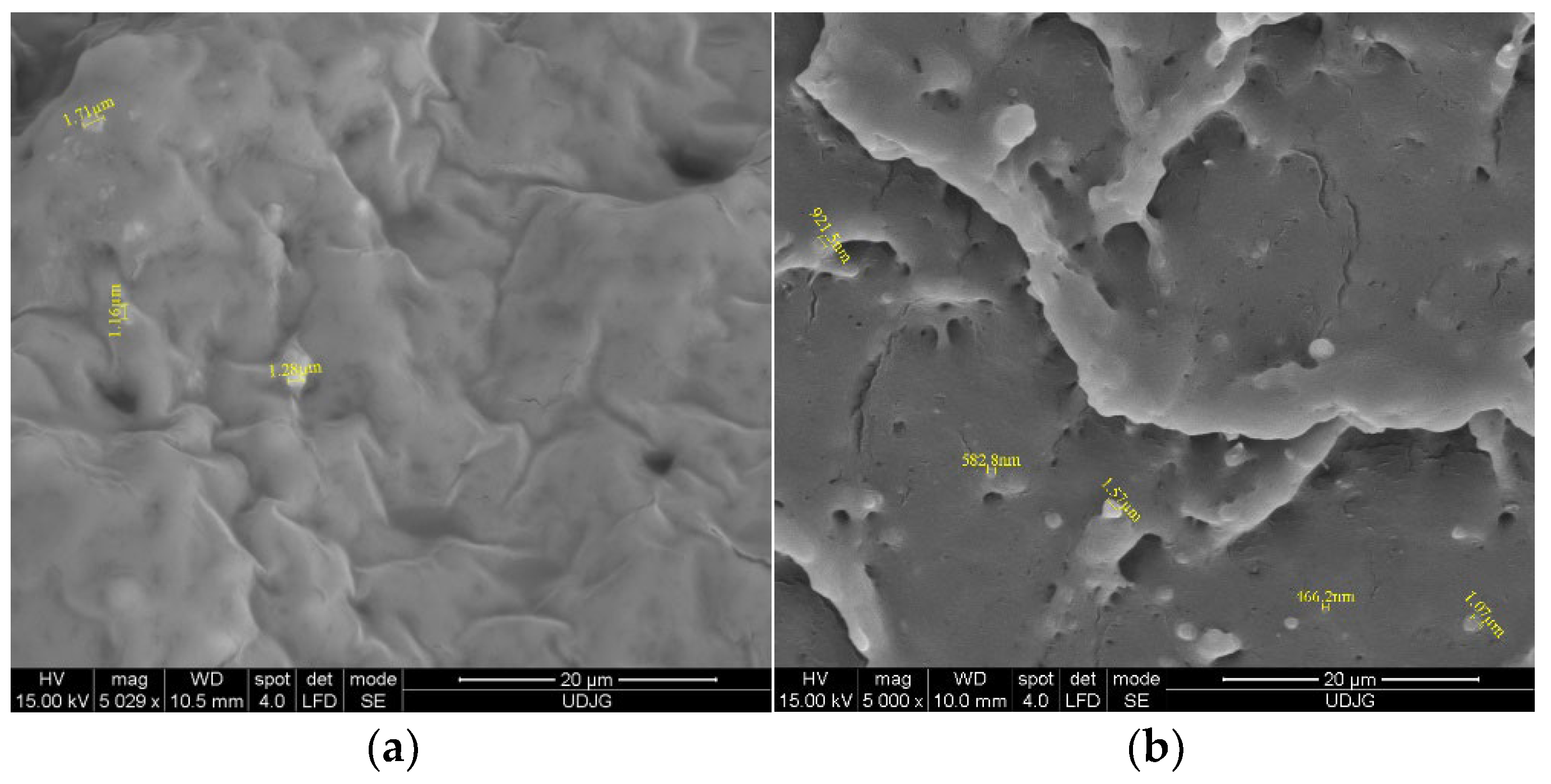 Coatings 13 00508 g001a Coatings 13 00508 g001a