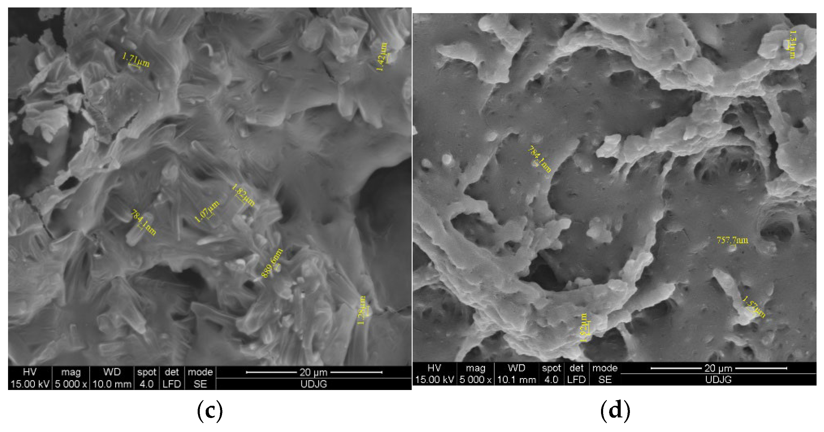 Coatings 13 00508 g001b Coatings 13 00508 g001b