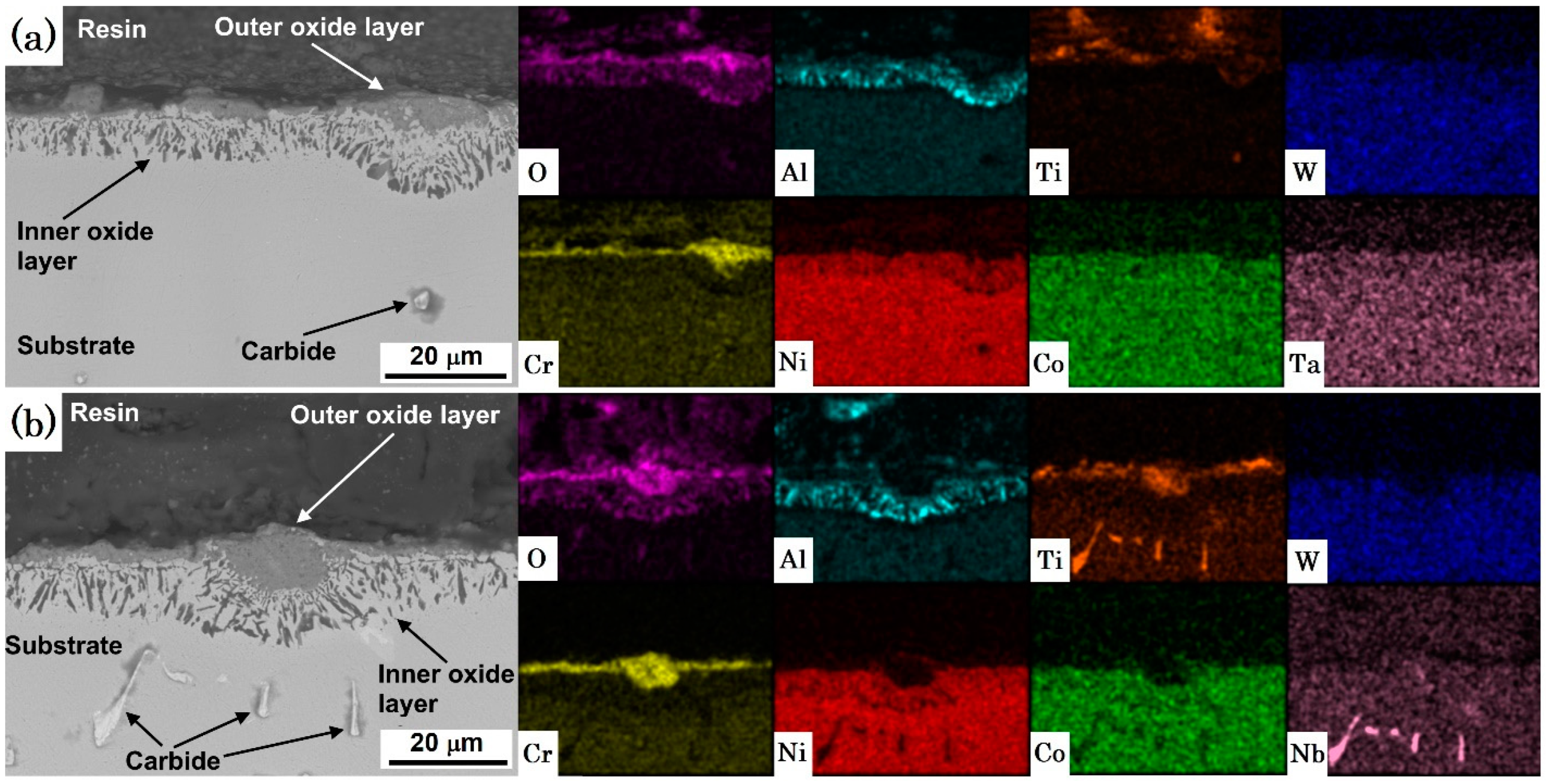 Coatings 13 00519 g003