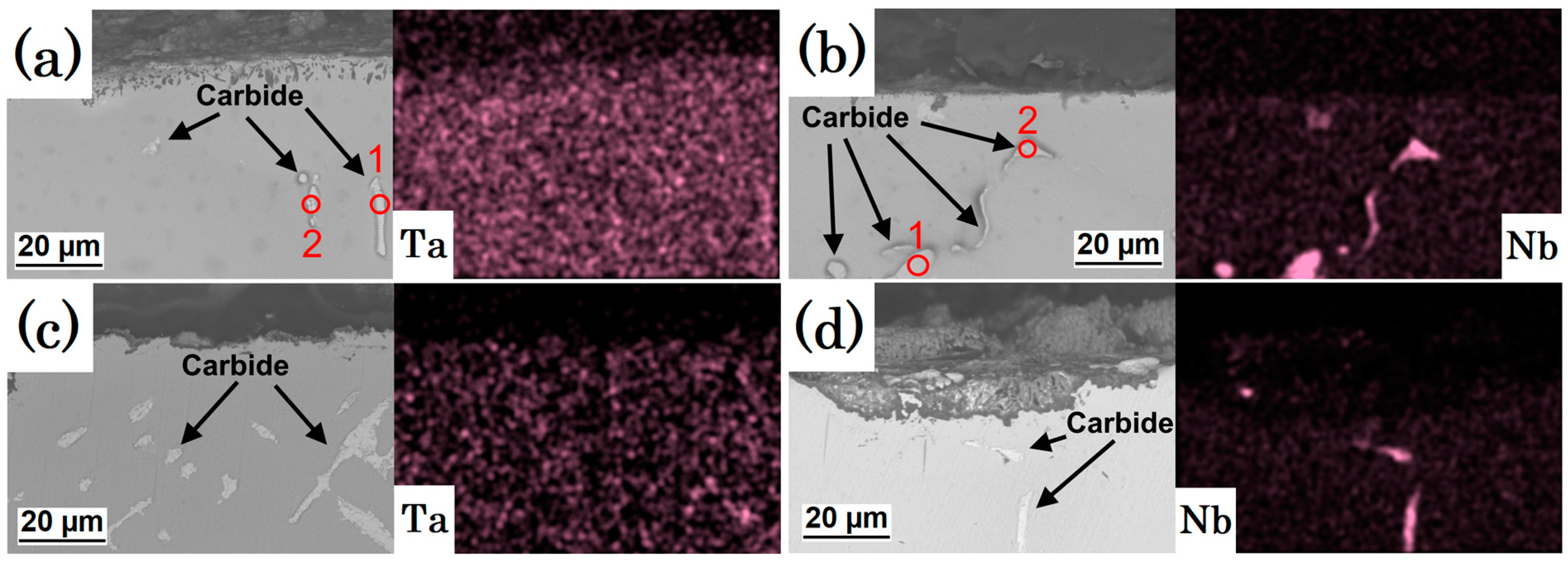 Coatings 13 00519 g009