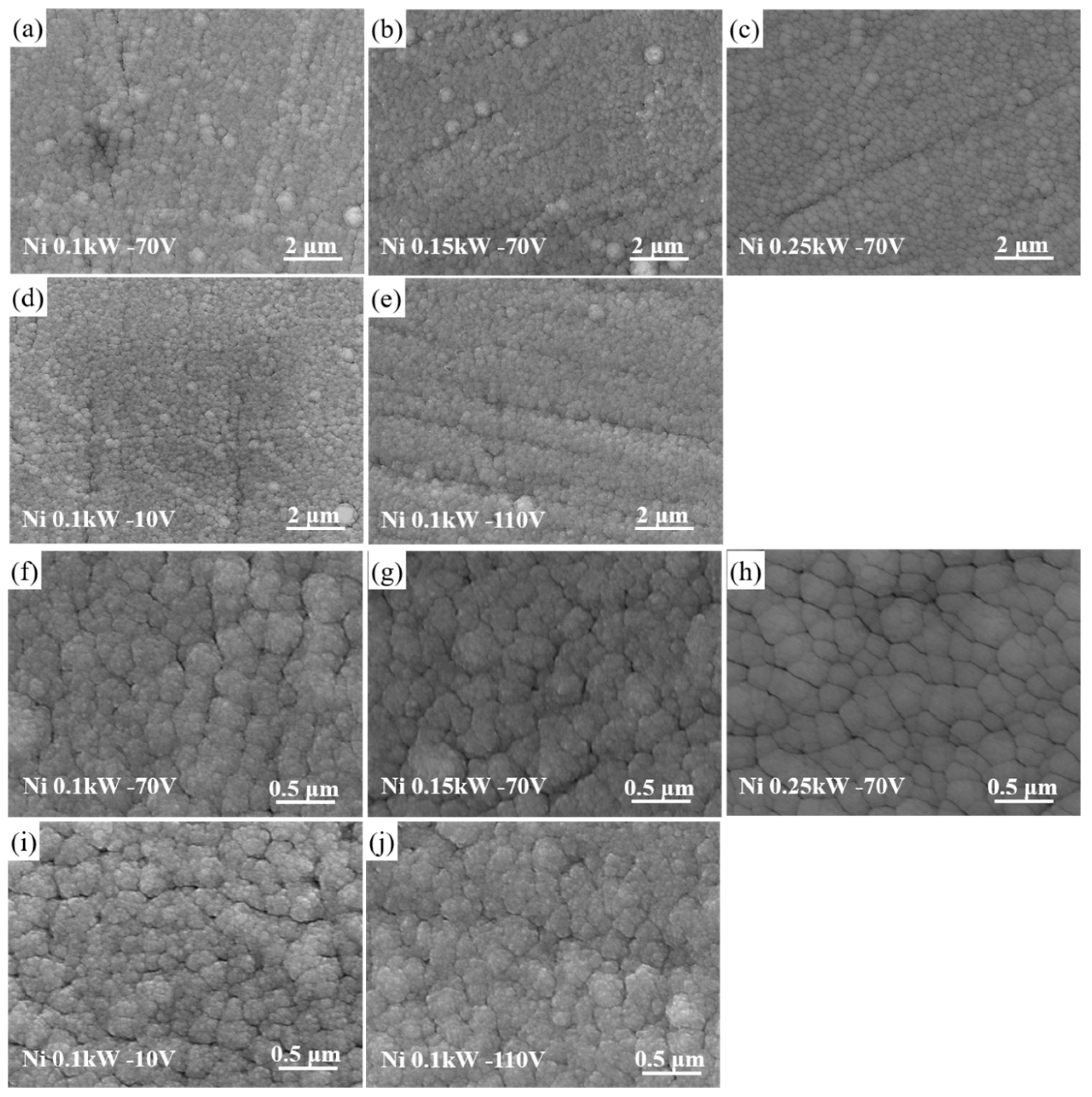 Coatings 13 00524 g002