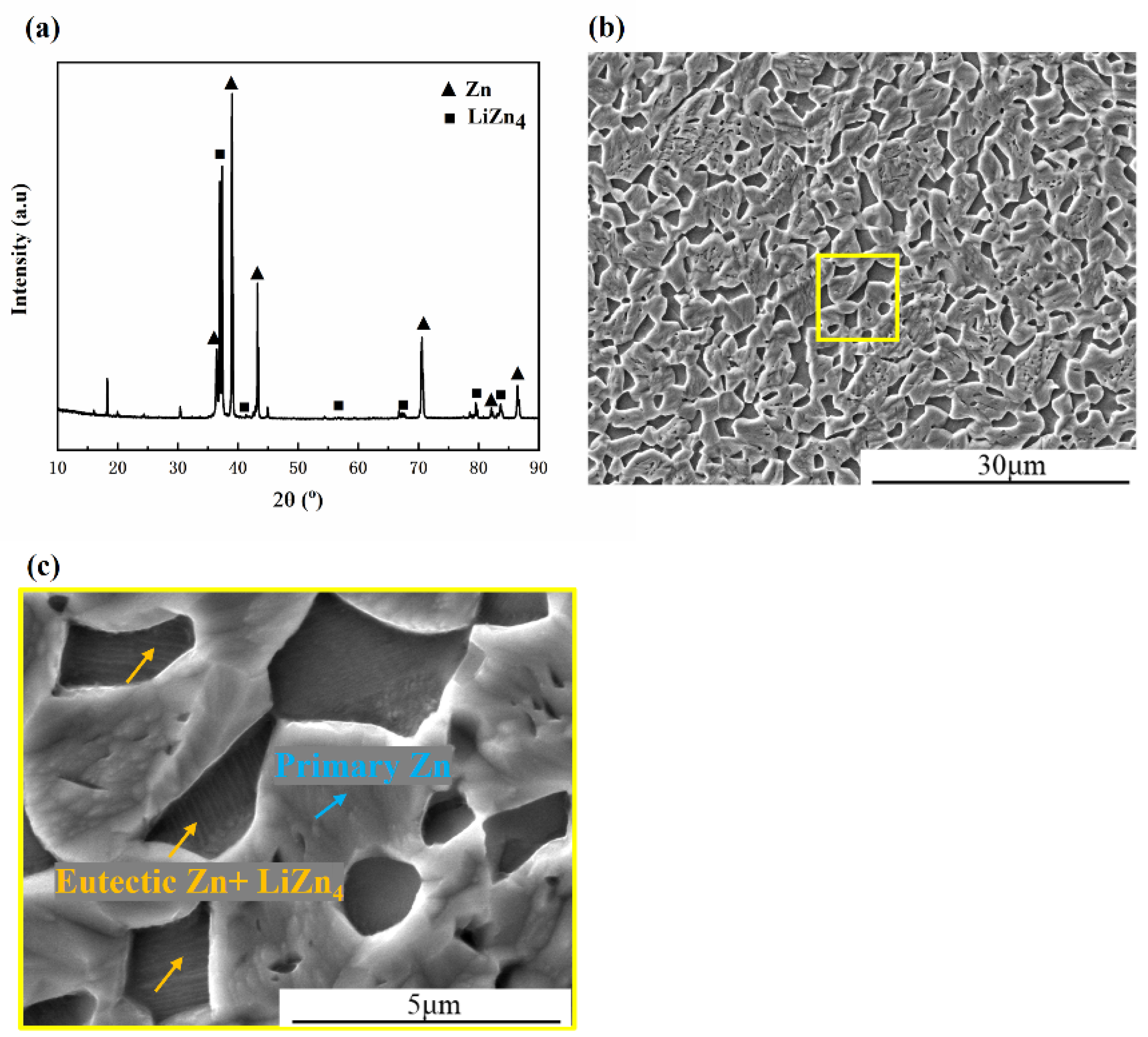 Coatings 13 00529 g001
