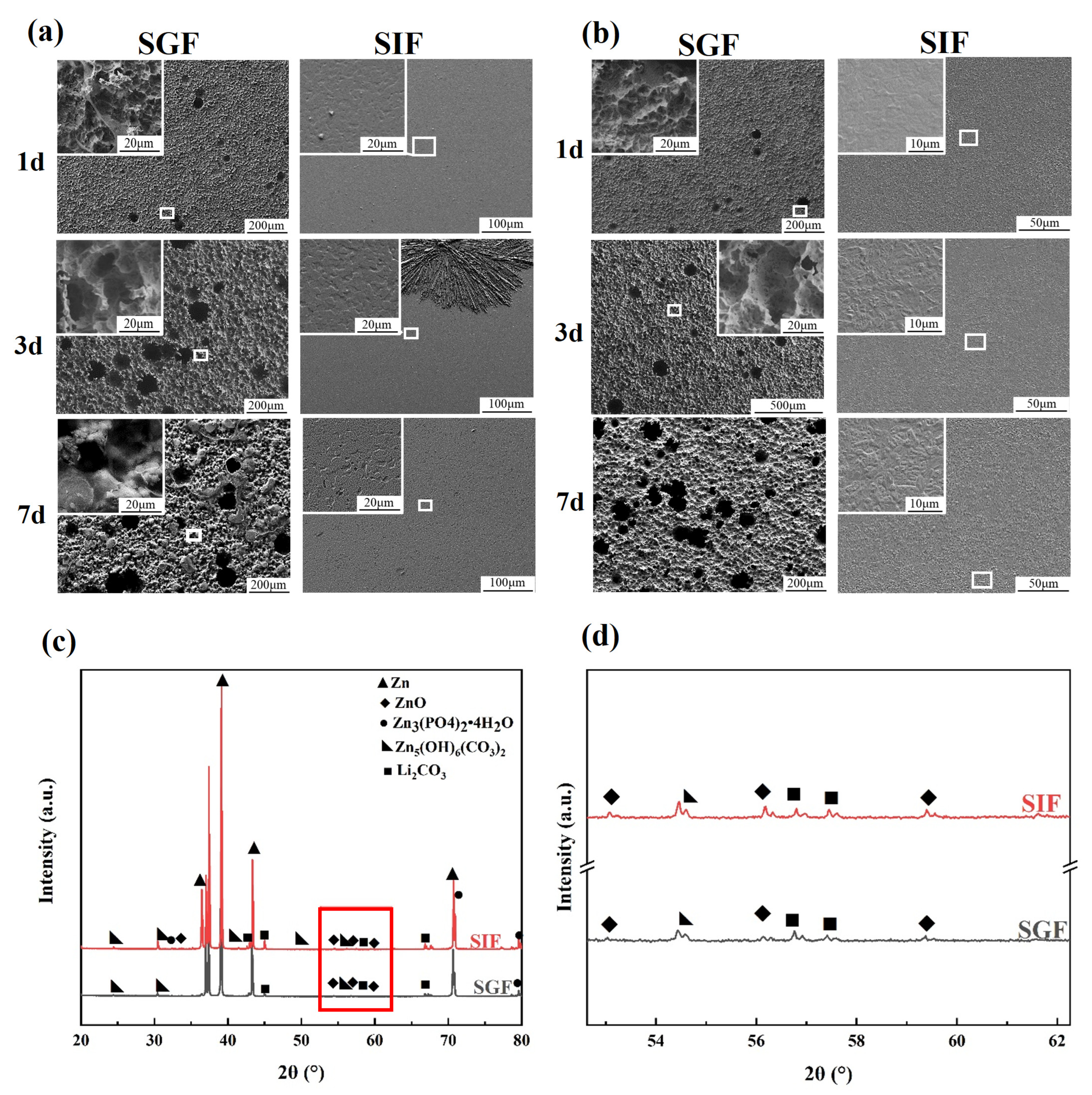 Coatings 13 00529 g003