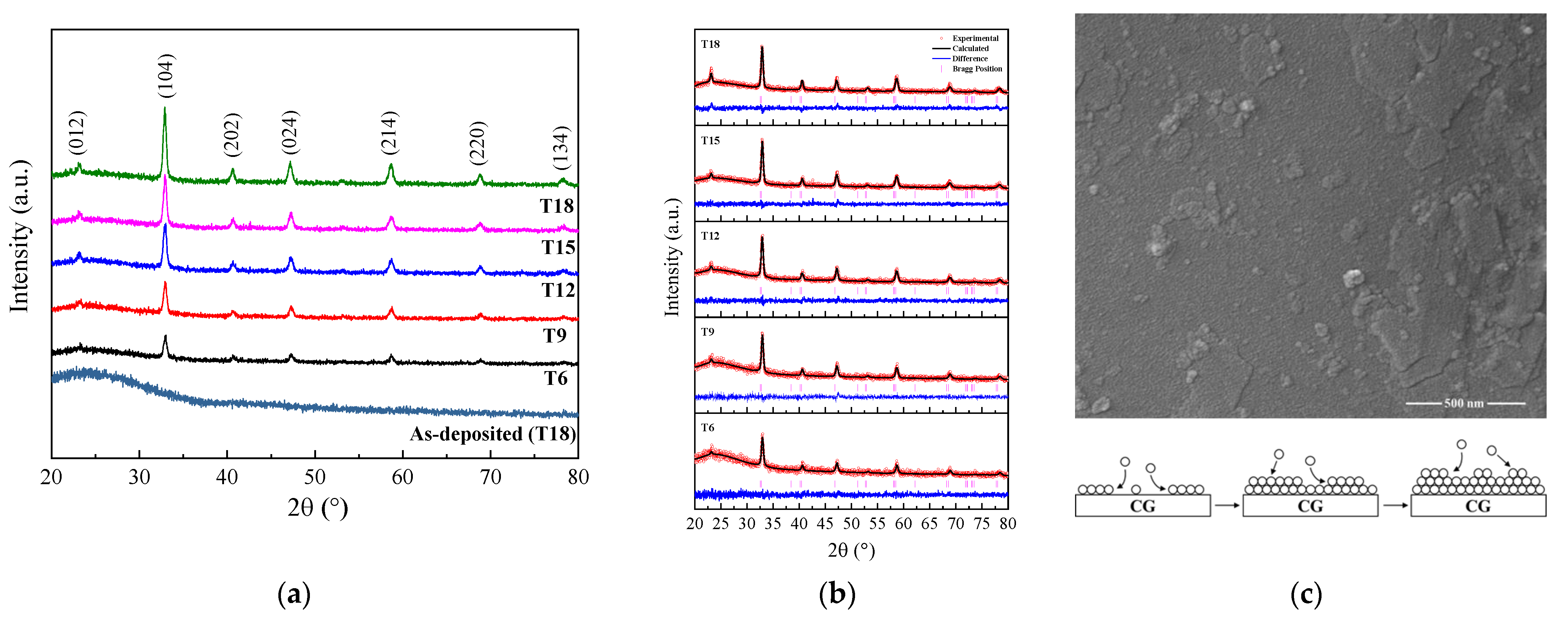Coatings 13 00541 g001