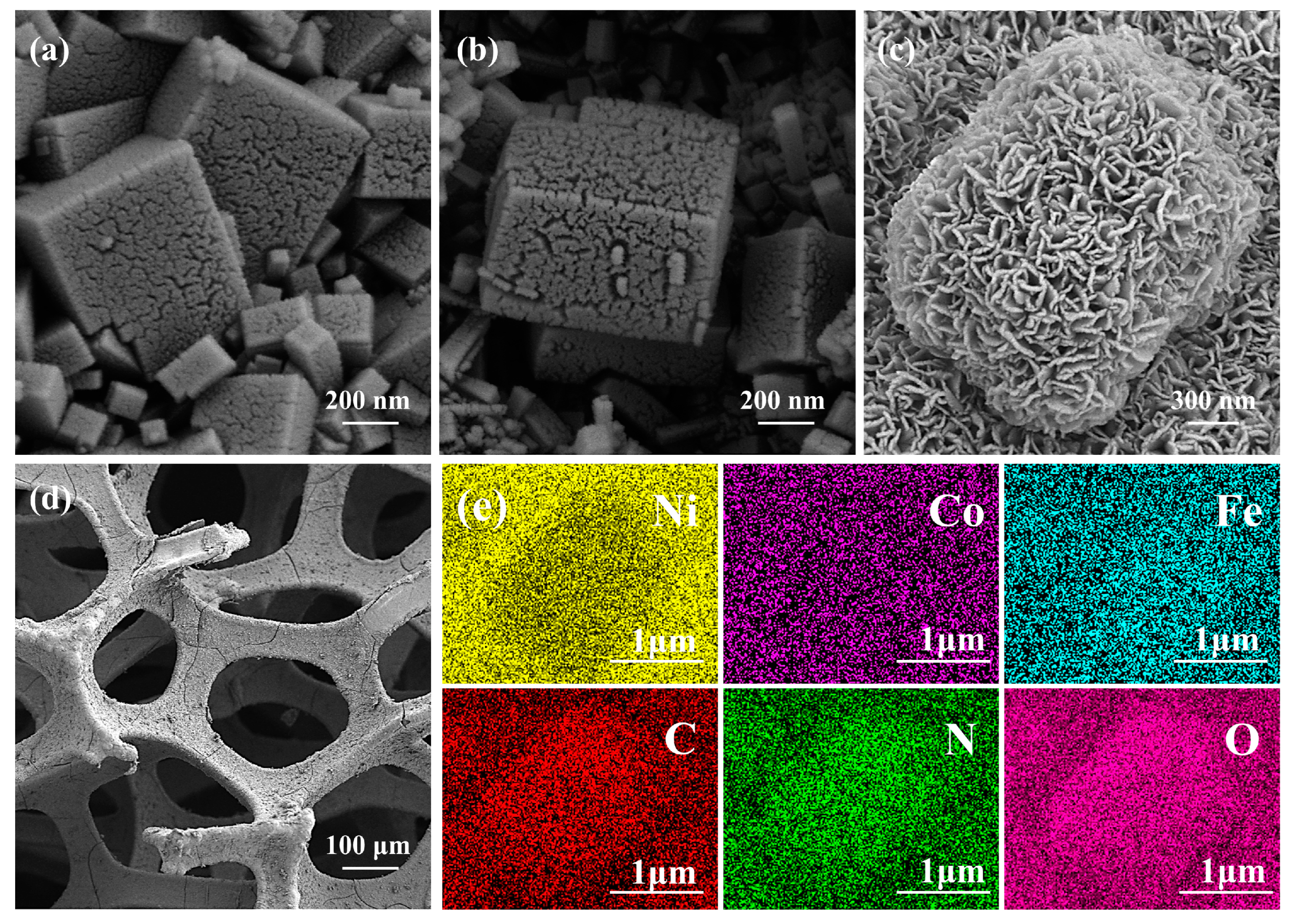 Coatings 13 00554 g003