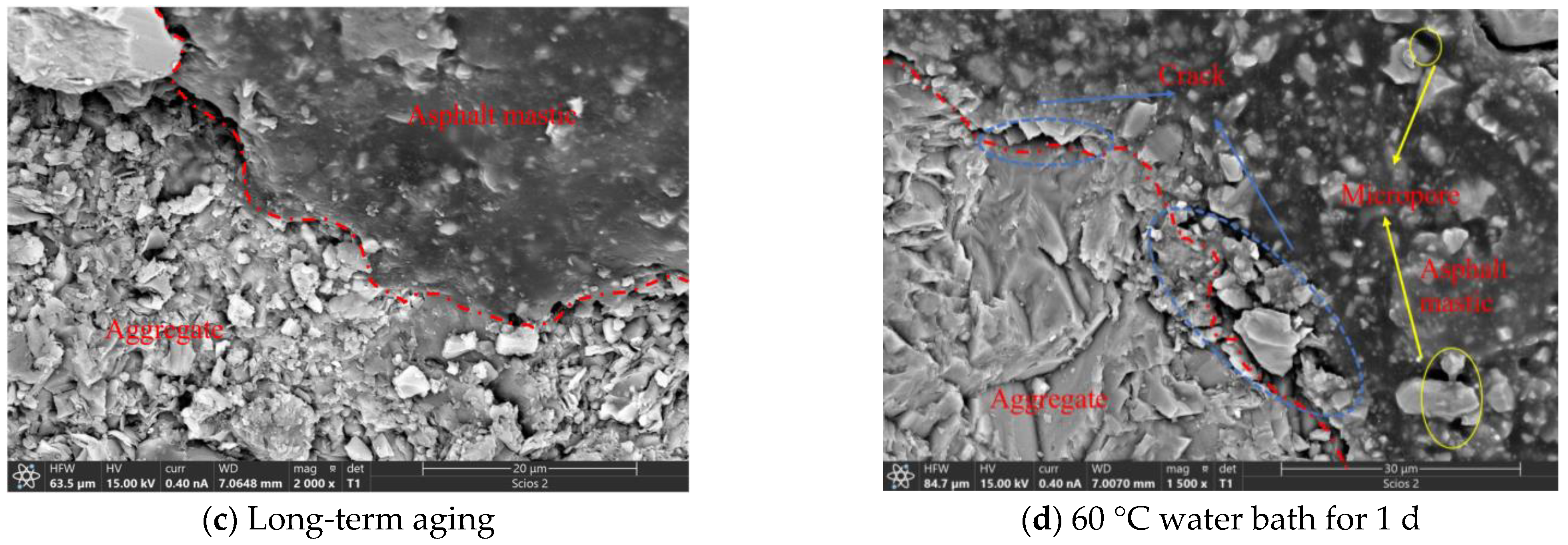Coatings 13 00566 g008b