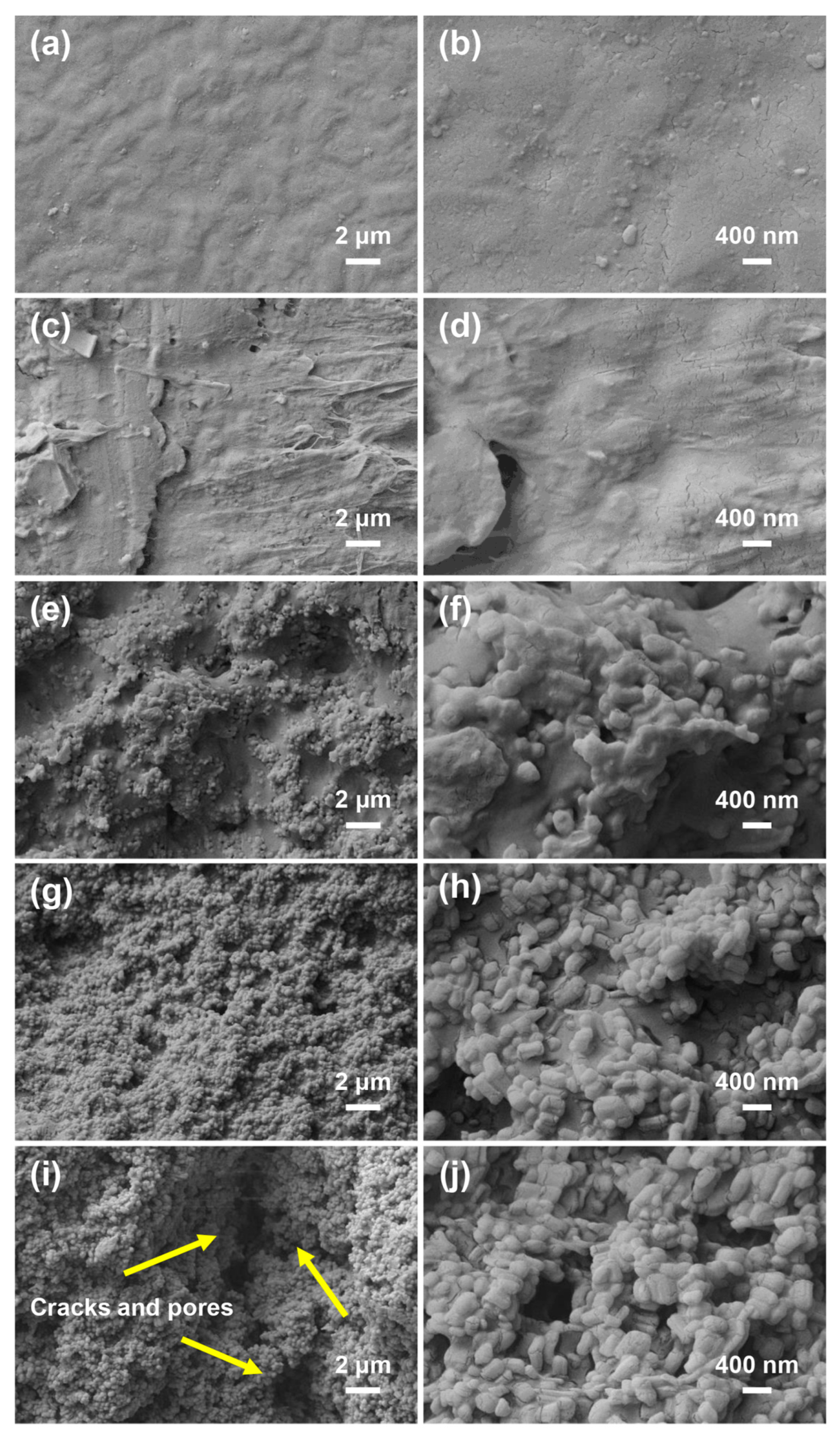 Coatings 13 00569 g002 Coatings 13 00569 g002